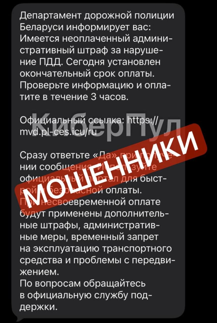 Фото: «Кибер Пул», Telegram