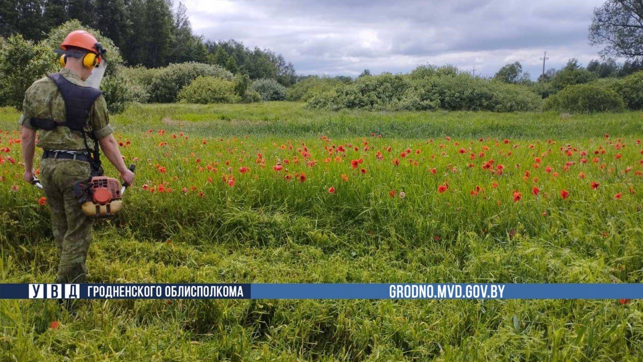 Фото: УВД Гродненского облисполкома