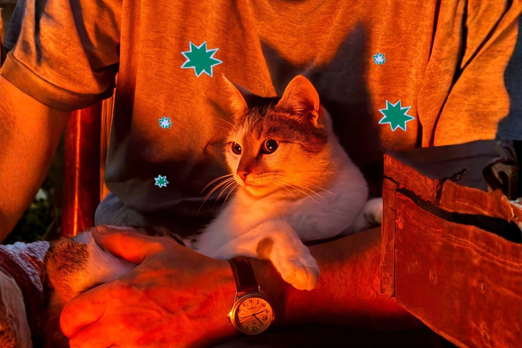 Кошка