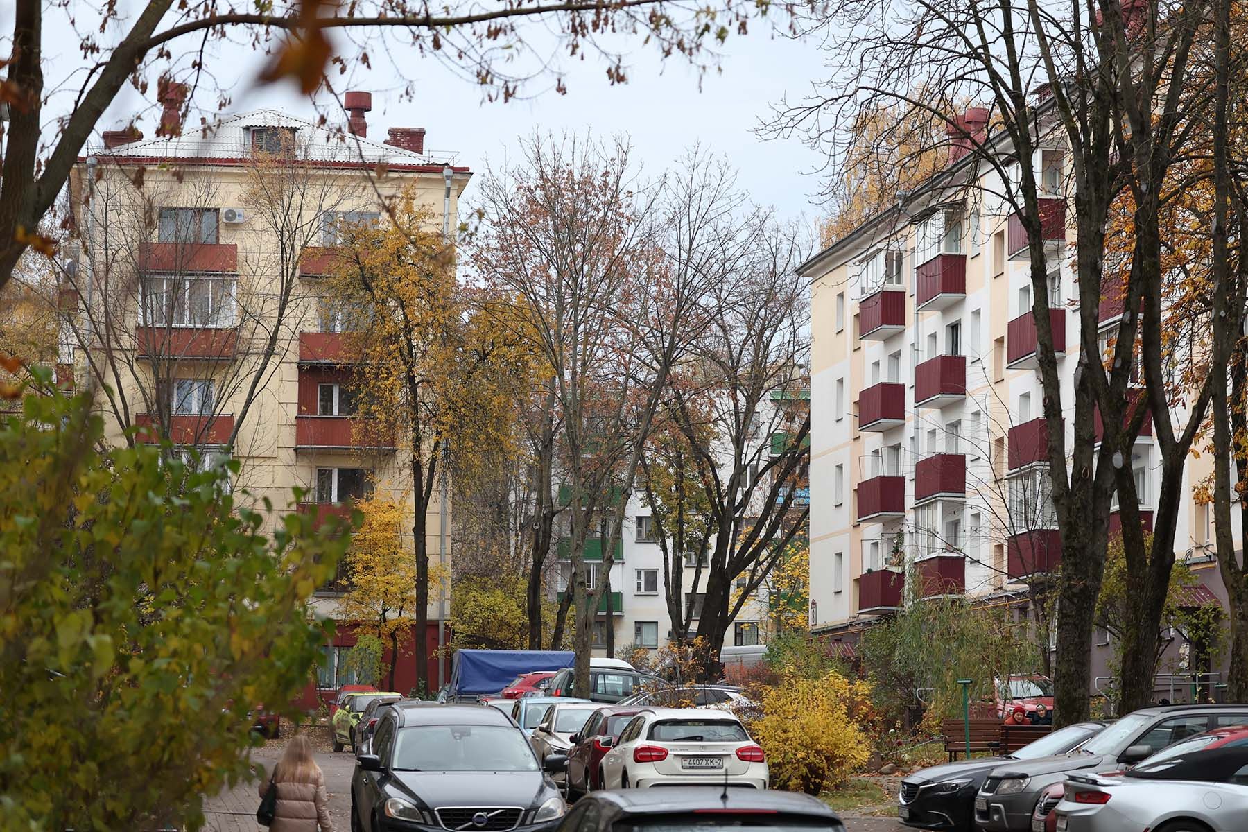 минск двор осень октябрь лист листья листва 