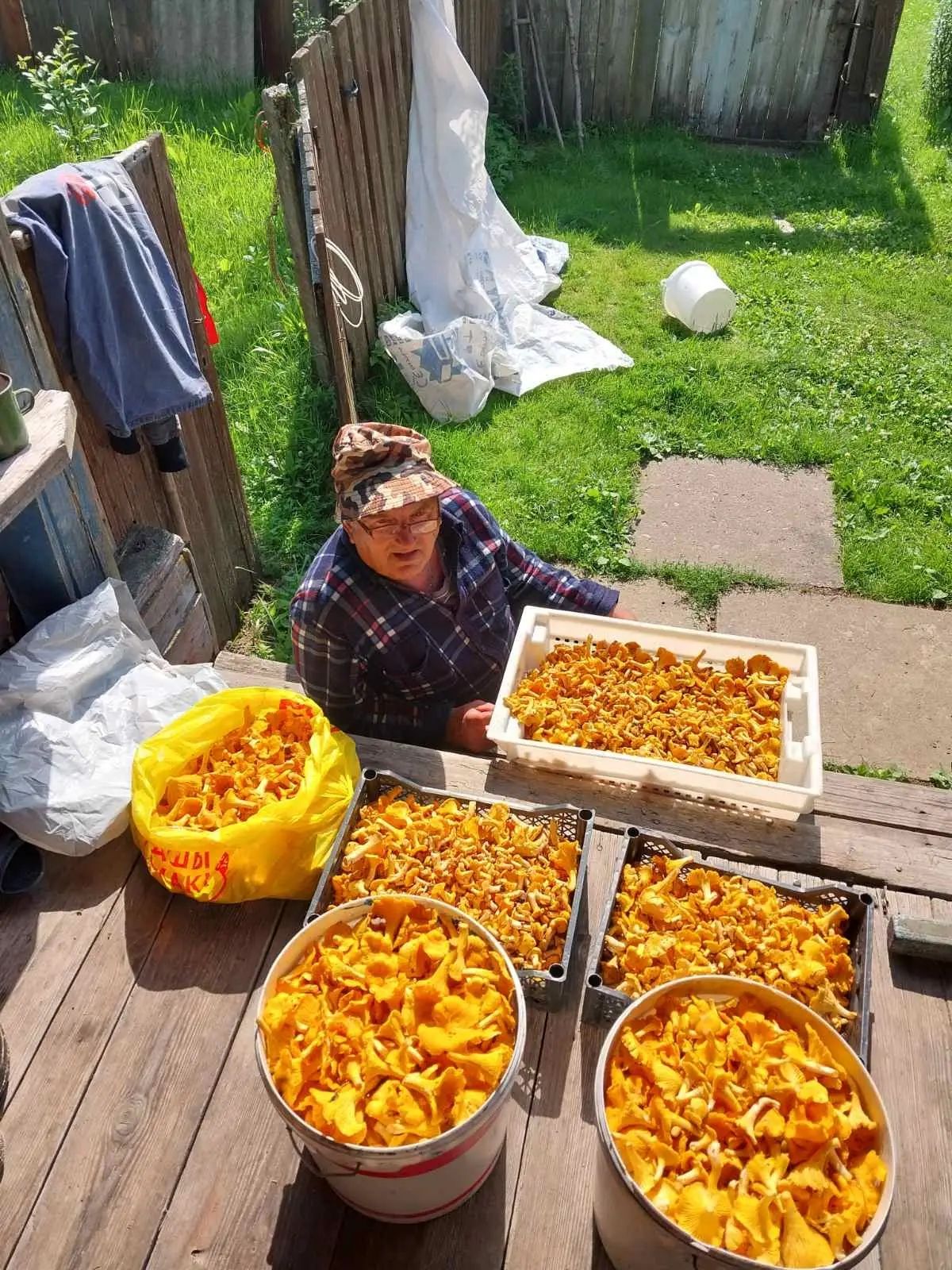 Фото: MaJIь4iK_Ha_ПоJIиKe, TikTok