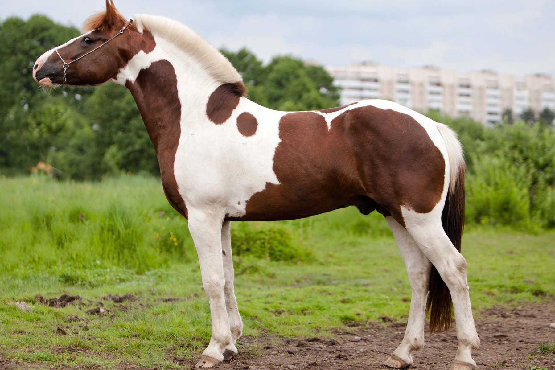 Фото: Минский зоопарк