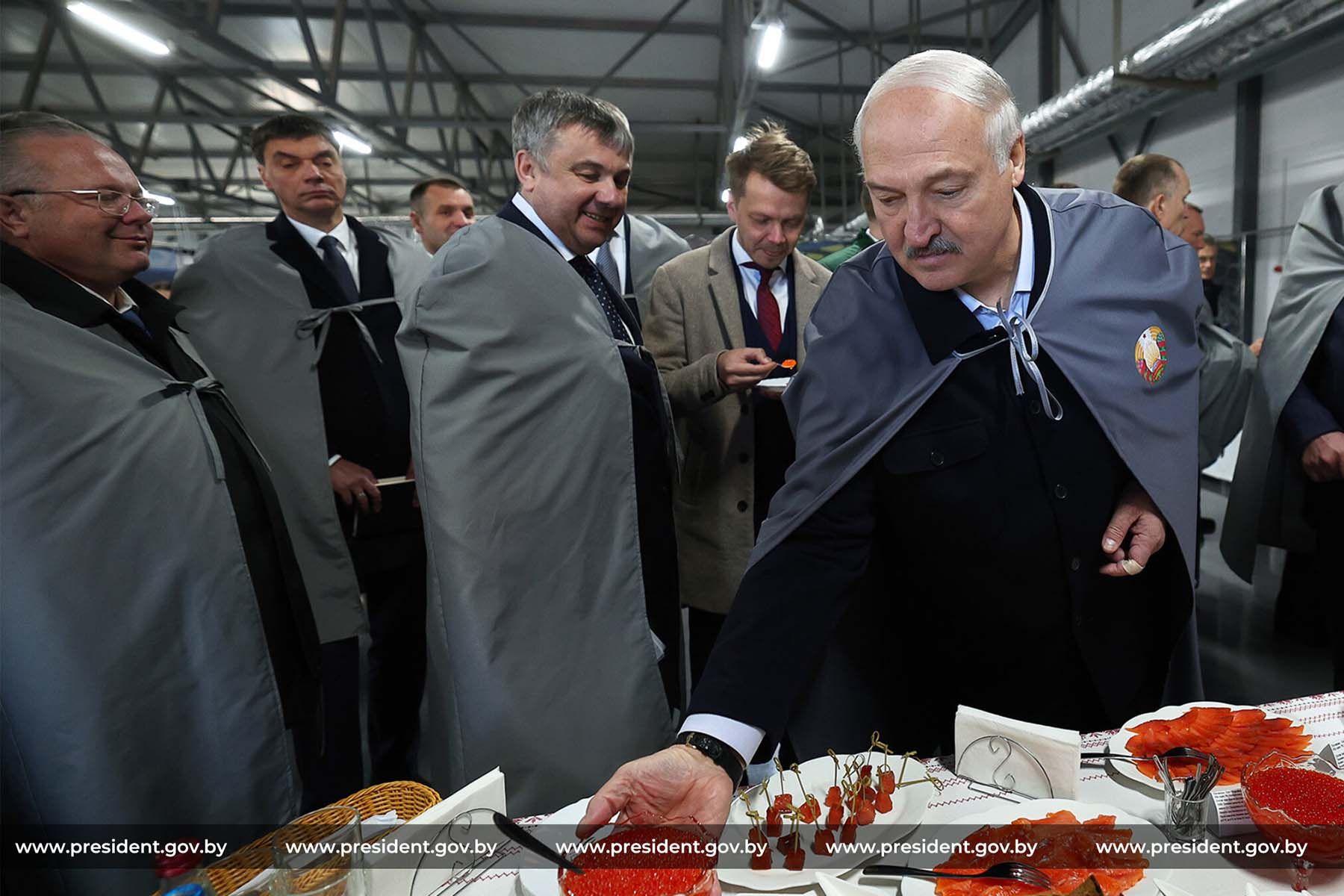 Фото: Пресс-служба Президента Республики Беларусь