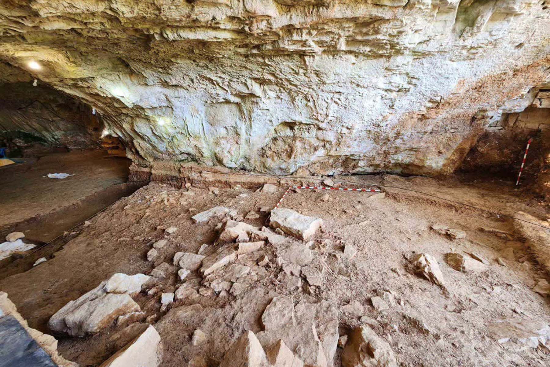 Фото: Museo de la Evolución Humana, Facebook