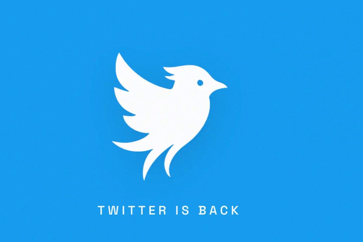 Фото: Twitter.now