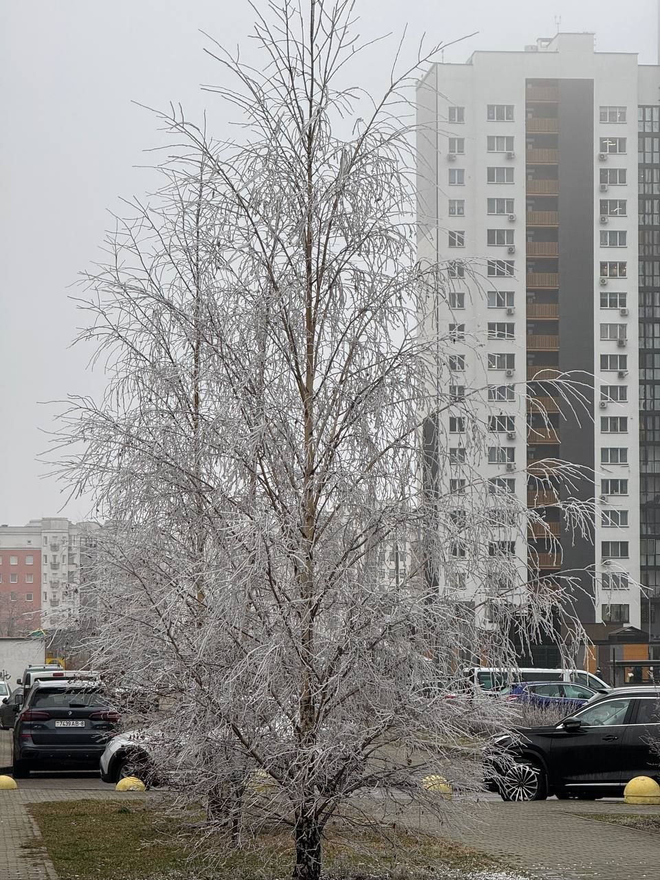 © Павел Орловский, Times.by