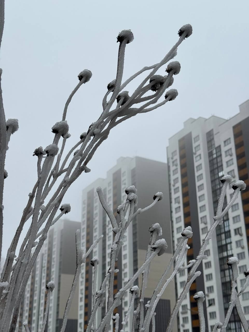 © Павел Орловский, Times.by