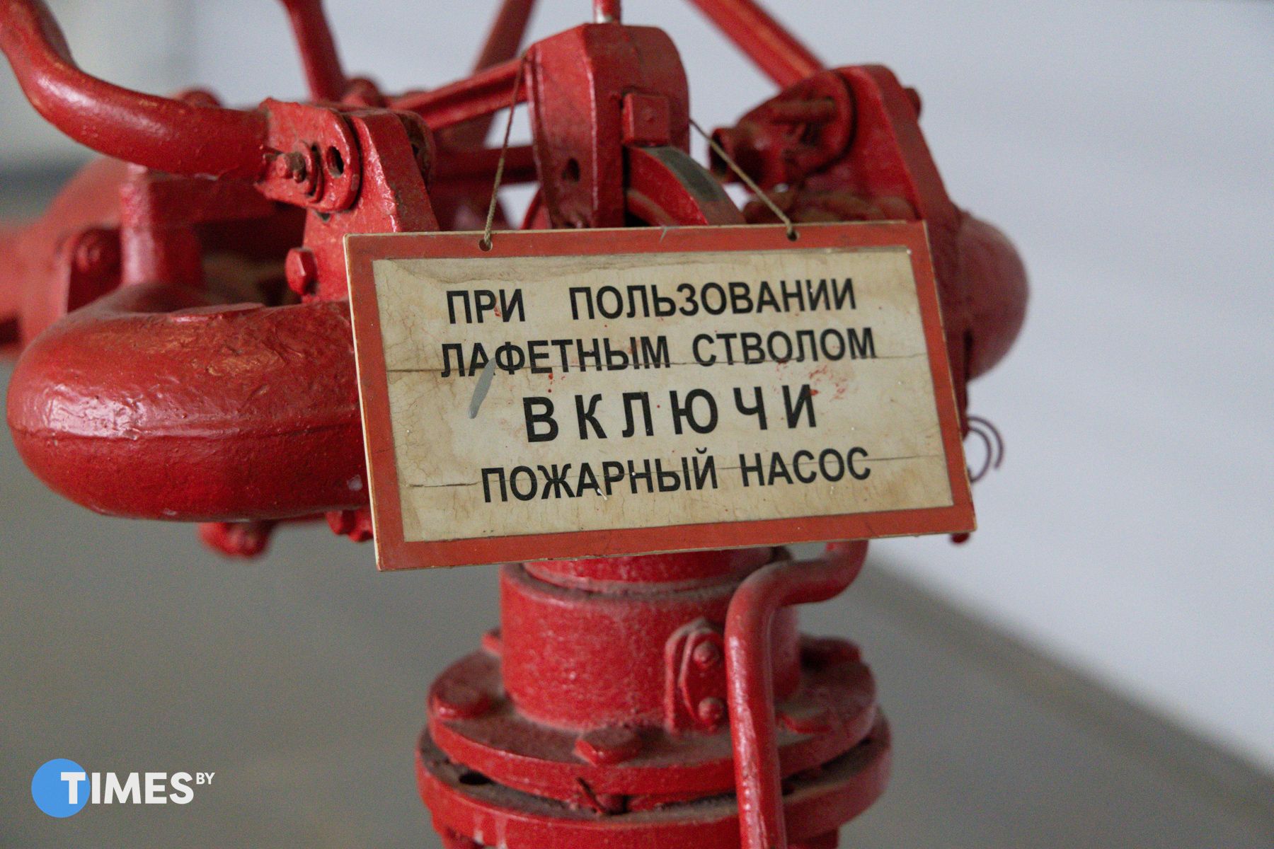 Фото: Диана Цыркунова, Times.by