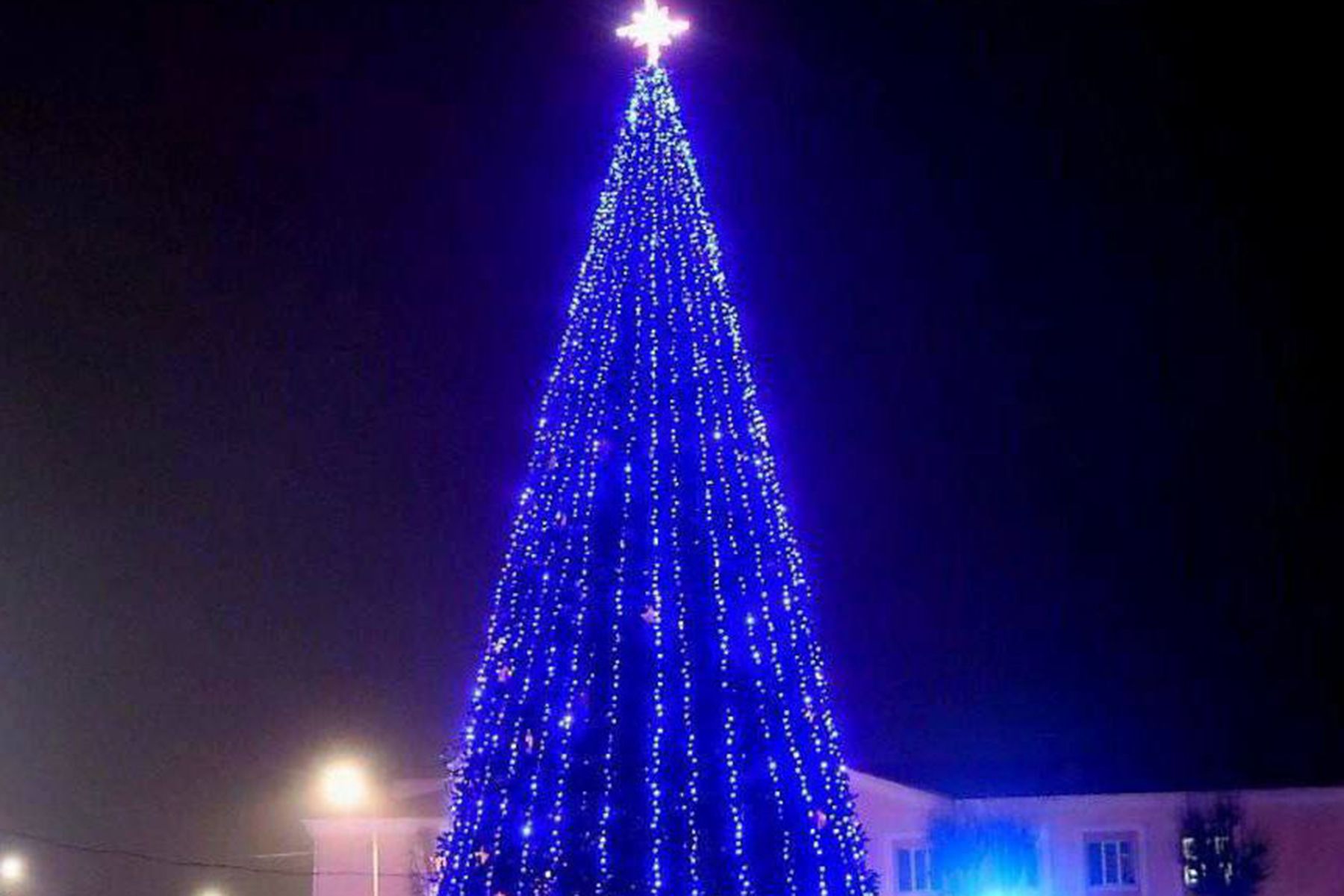 Елка в Добруше