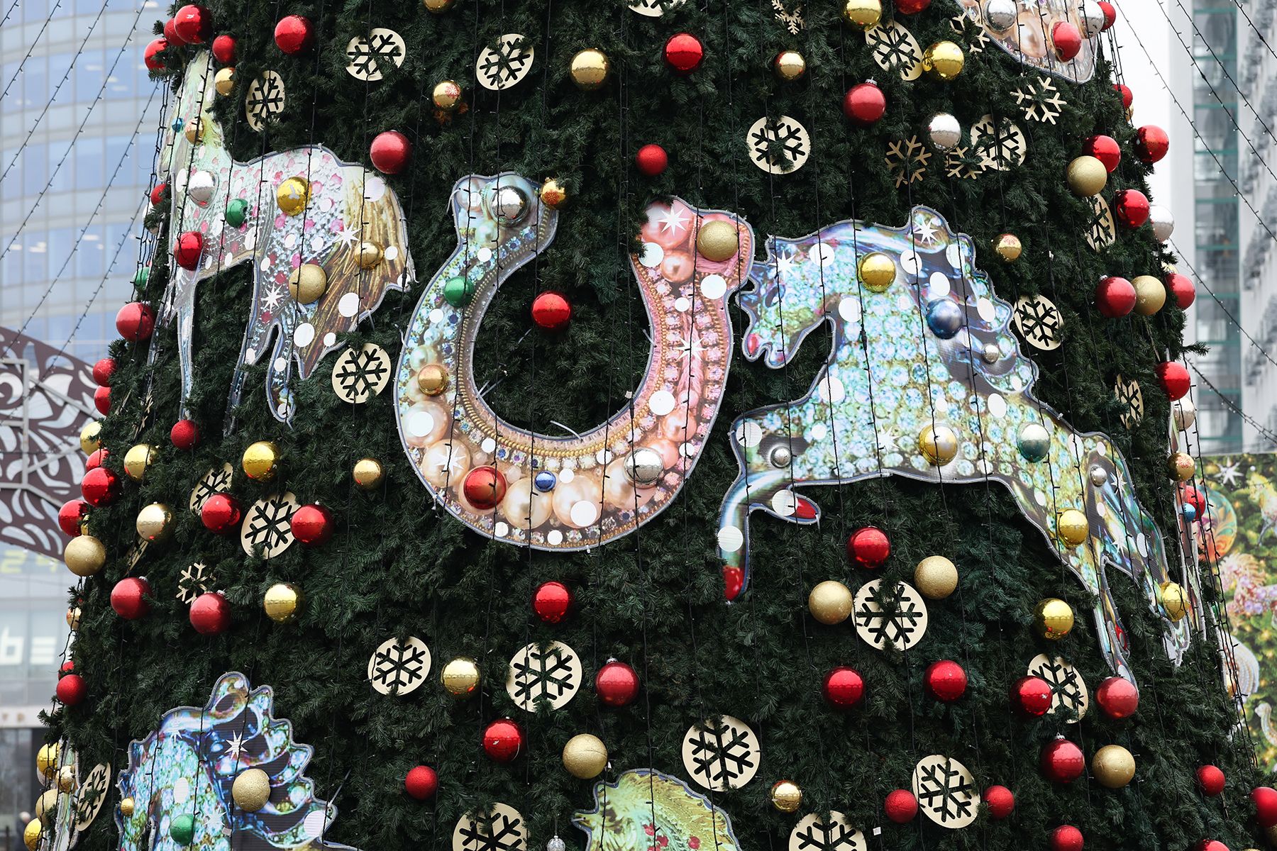 Елка у Дворца спорта