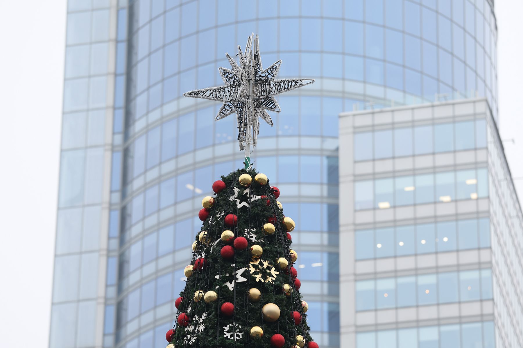 Елка у Дворца спорта