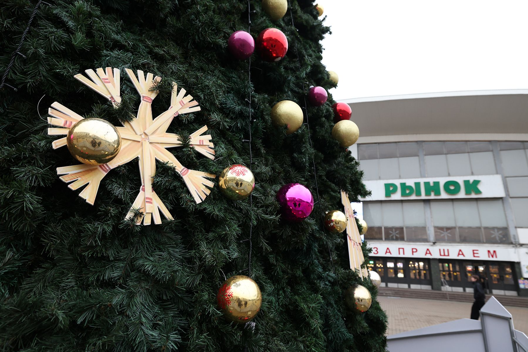 Елка на Комаровском рынке