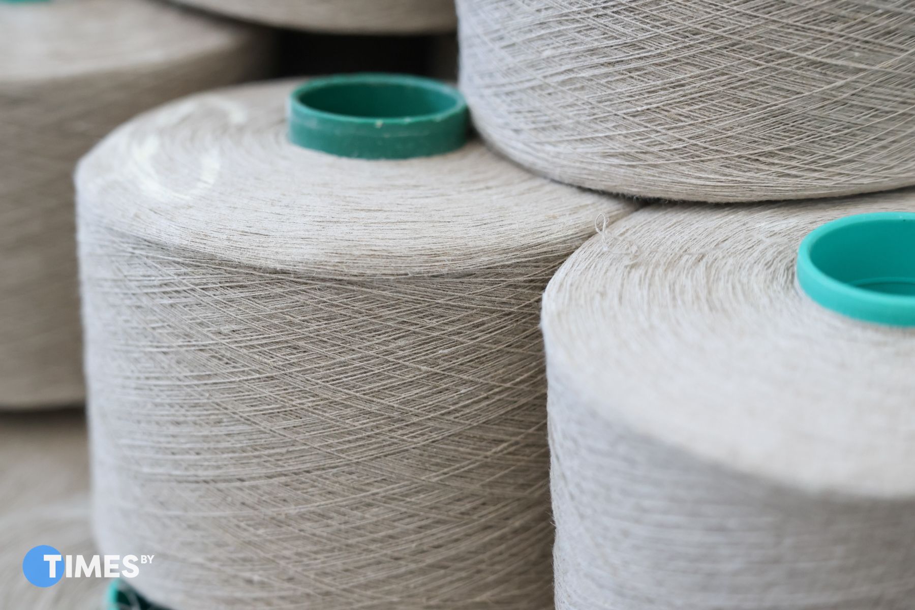 Фото: Диана Цыркунова, Times.by