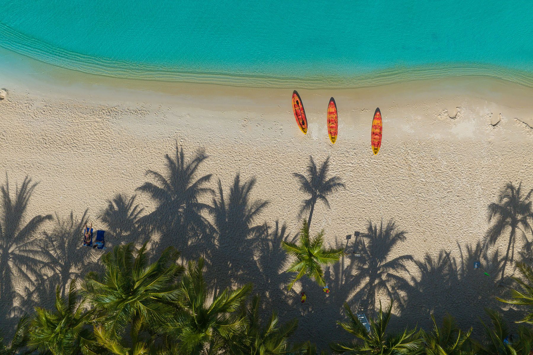 Фото: Vivu Vietnam, Unsplash.com