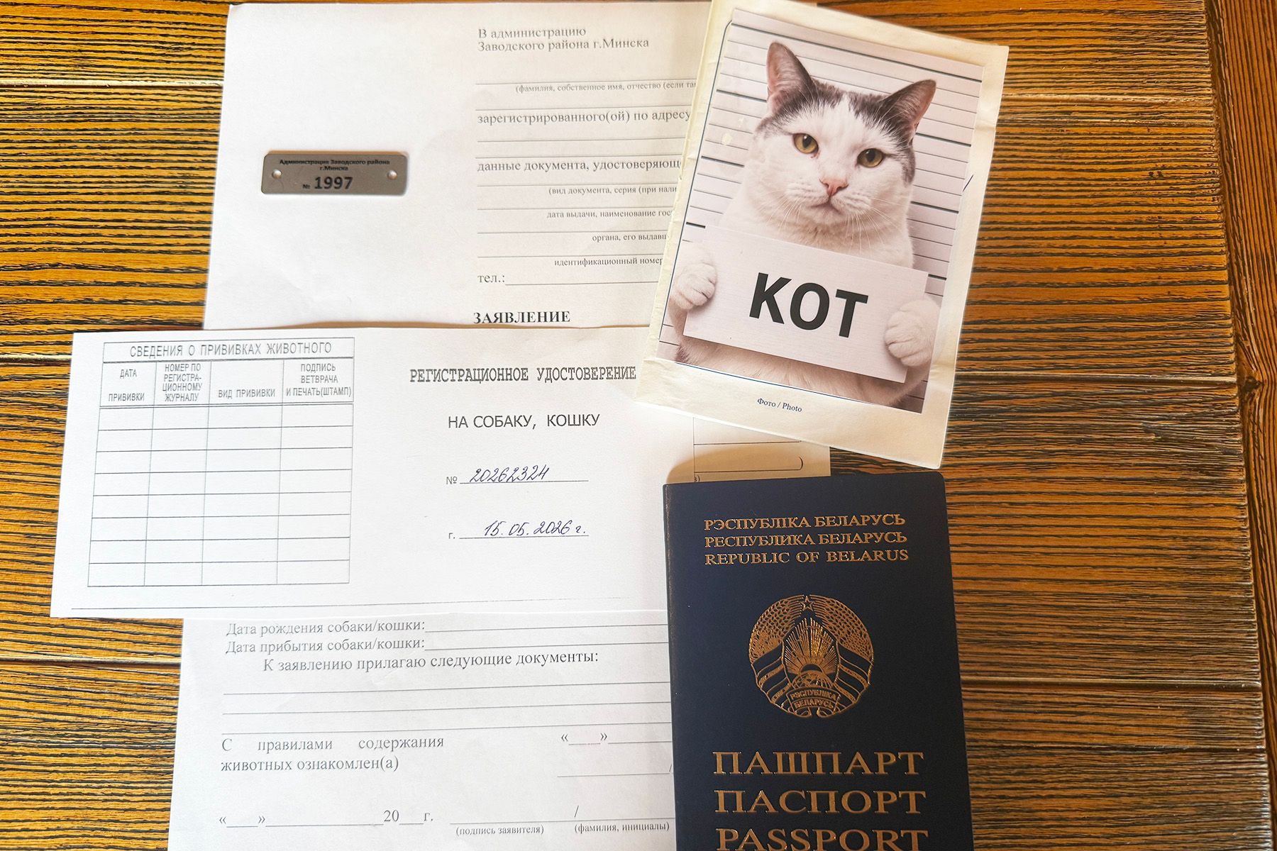 Регистрация кота