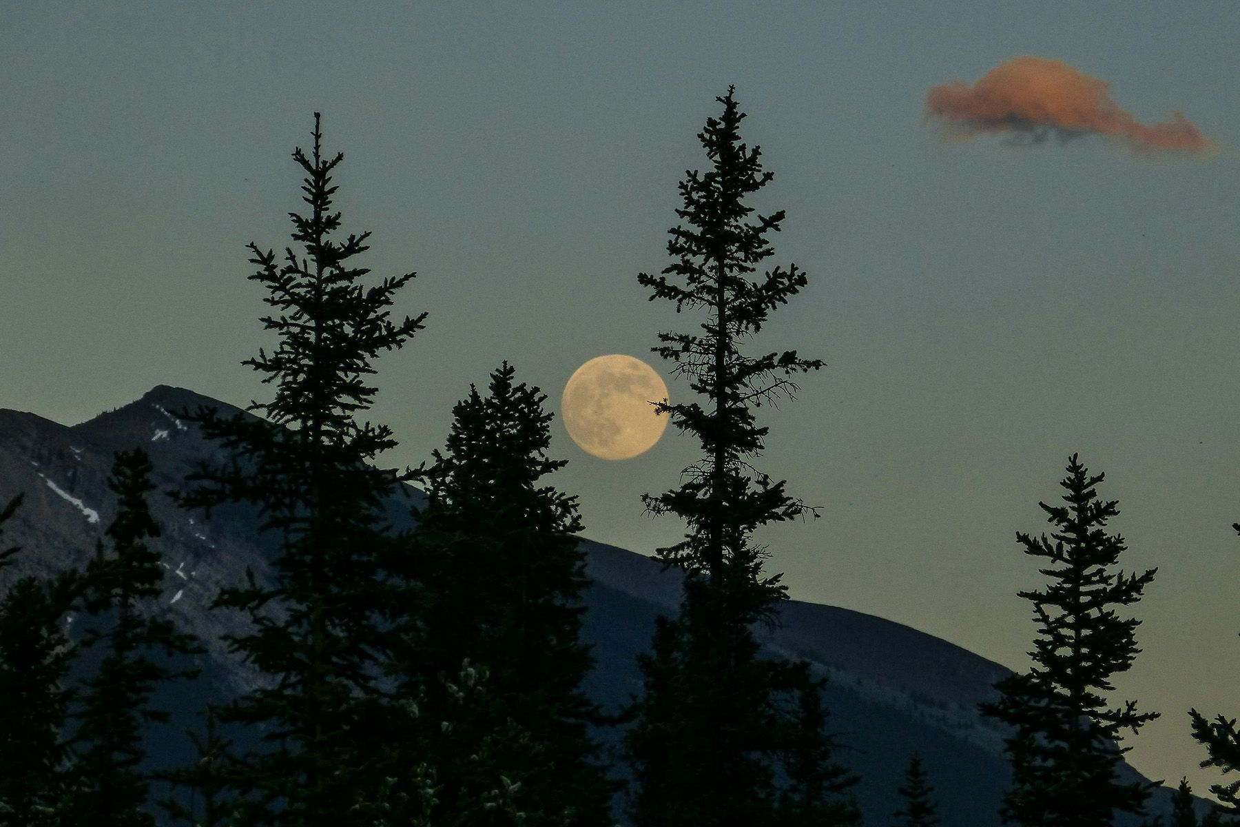 © Kym MacKinnon, Unsplash.com