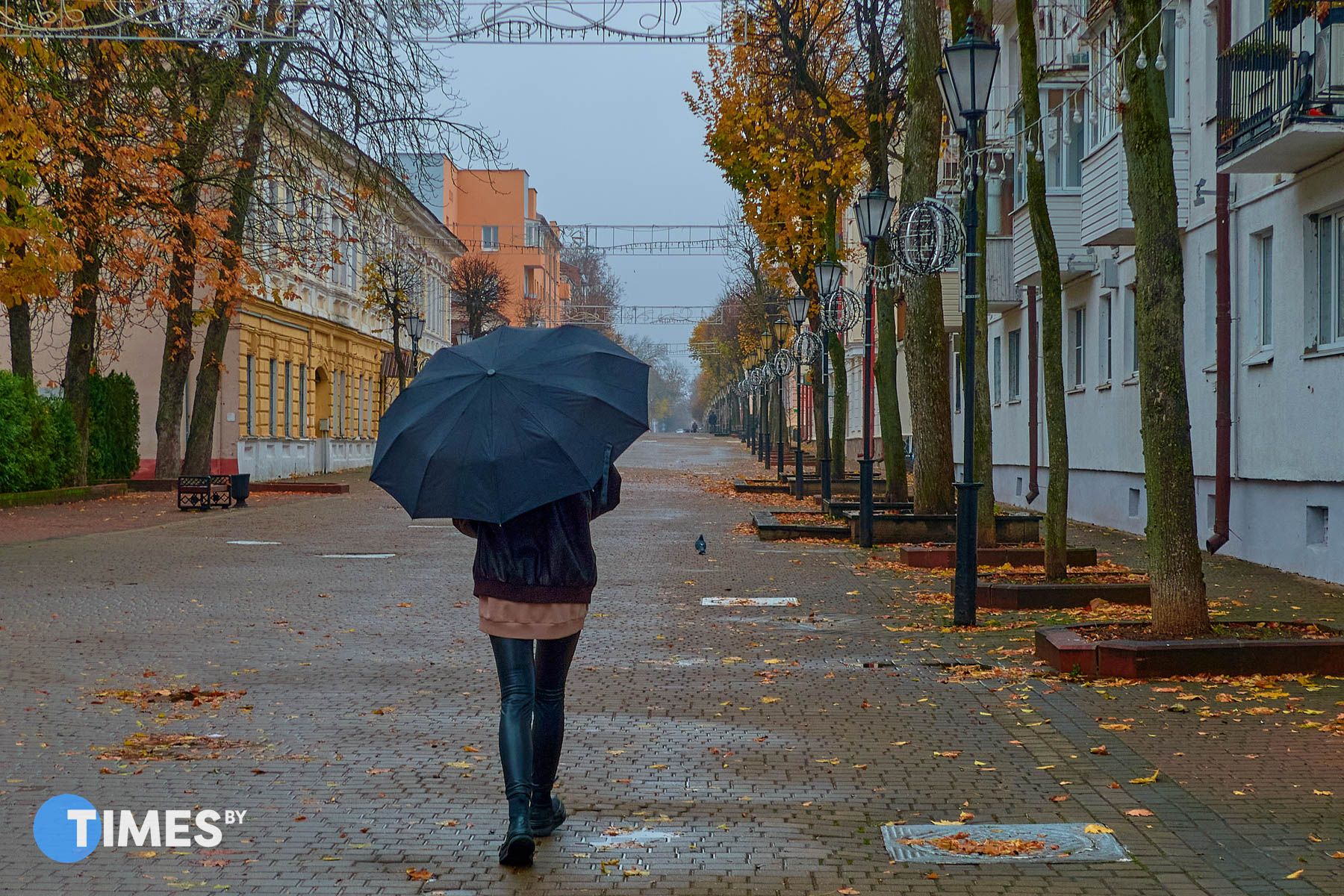 погода, осень, зонт, дождь