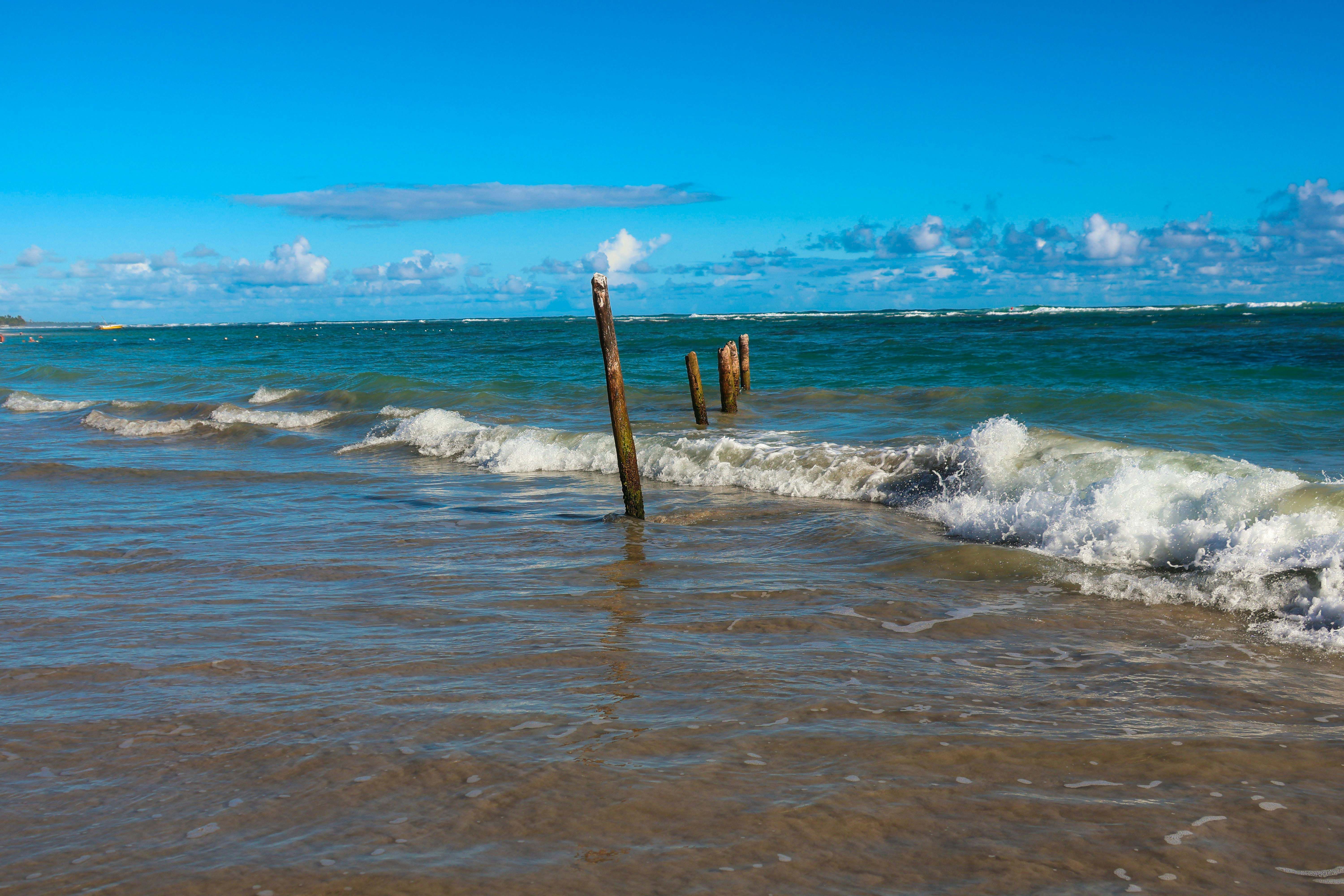 Побережье Атлантического океана