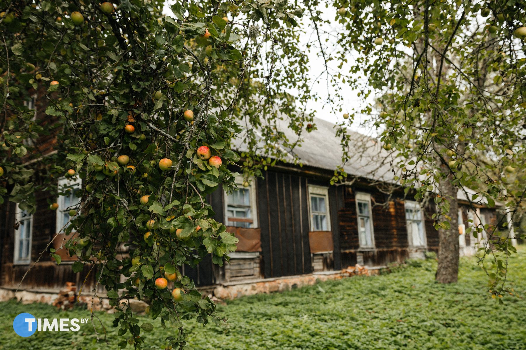 Усадьба Альфреда Ромера в Королиново