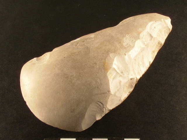 Экспозиция, посвященная шаману из Аптона-Ловелла. Фото: Wiltshire Archaeological and Natural History Society