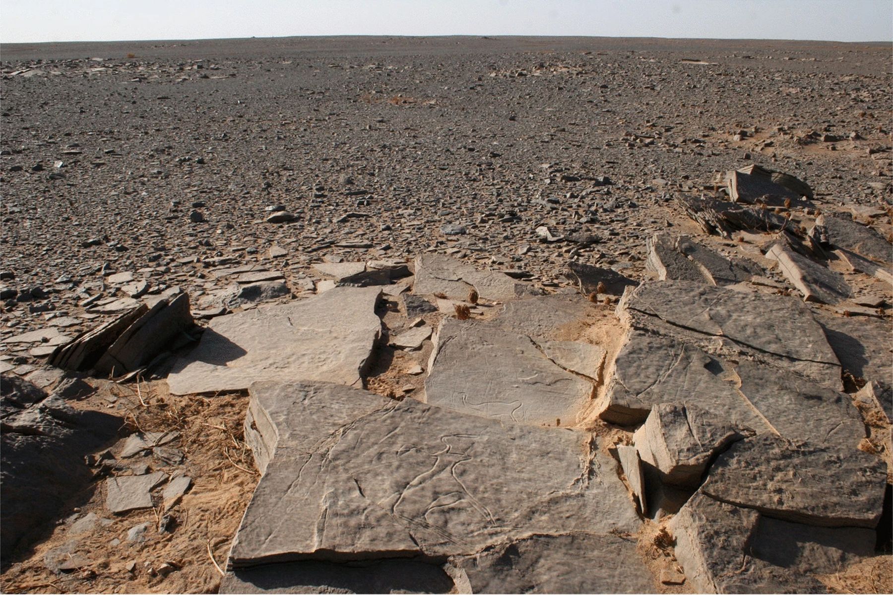 Фото: African Archaeological Review