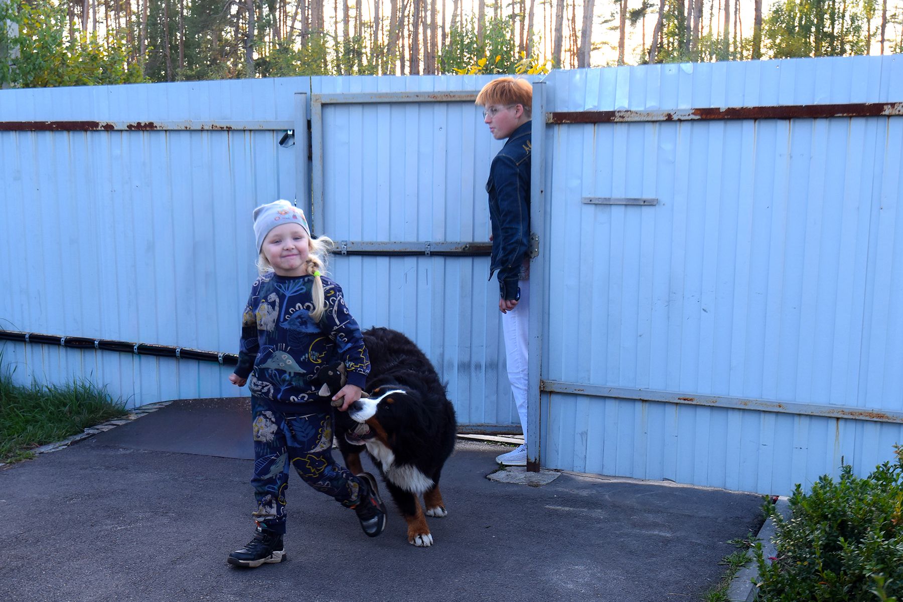 Соня