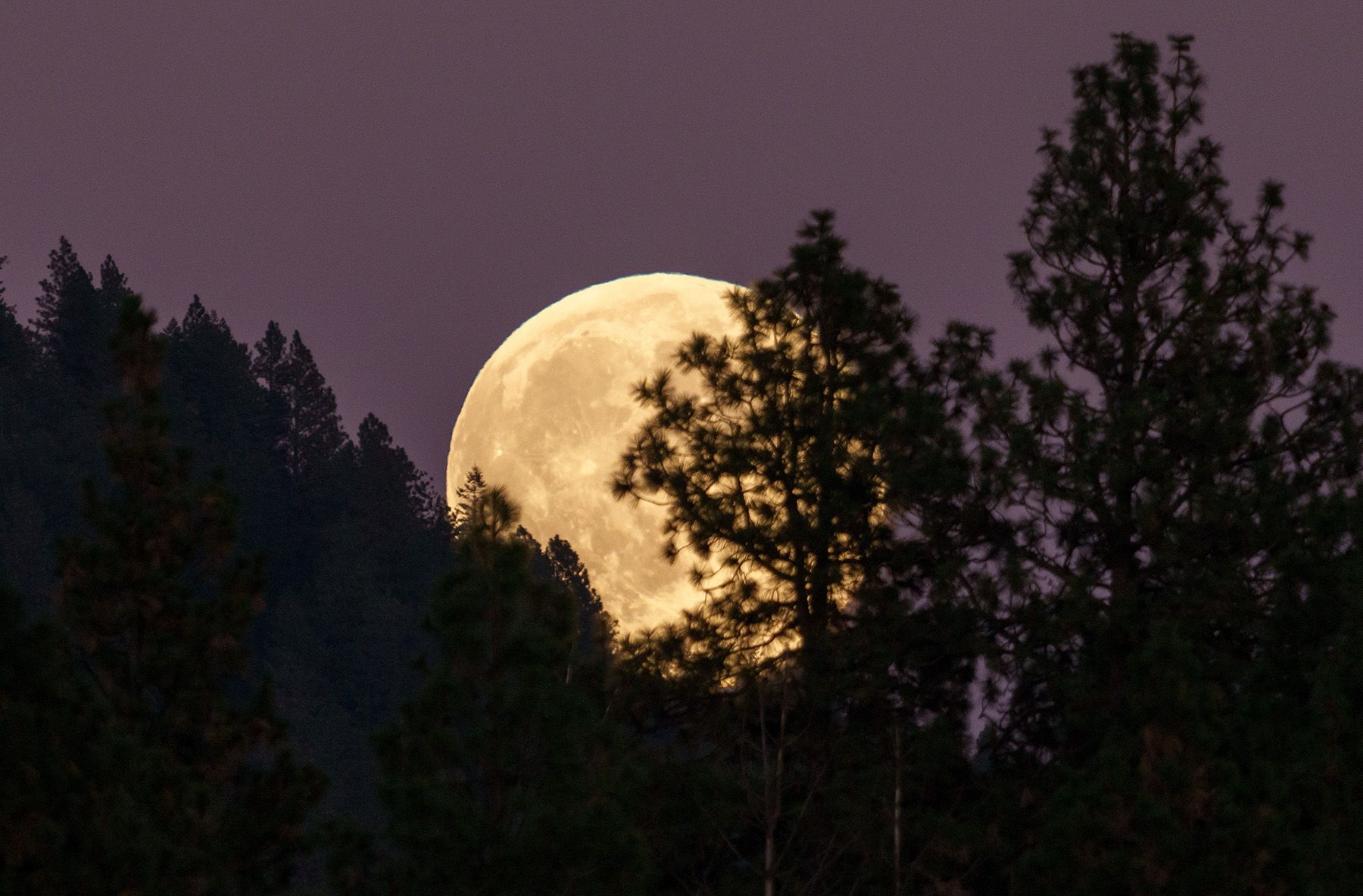 Полнолуние