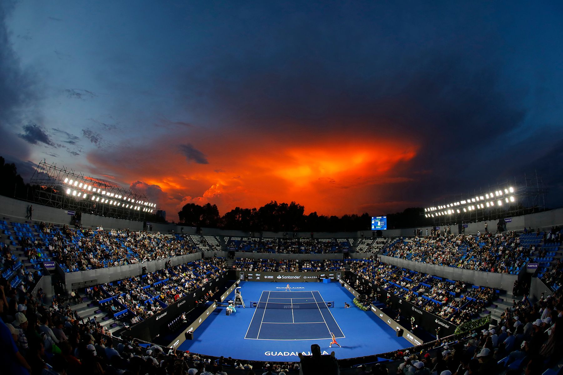Фото: FRANCISCO GUASCO, EPA / TASS
