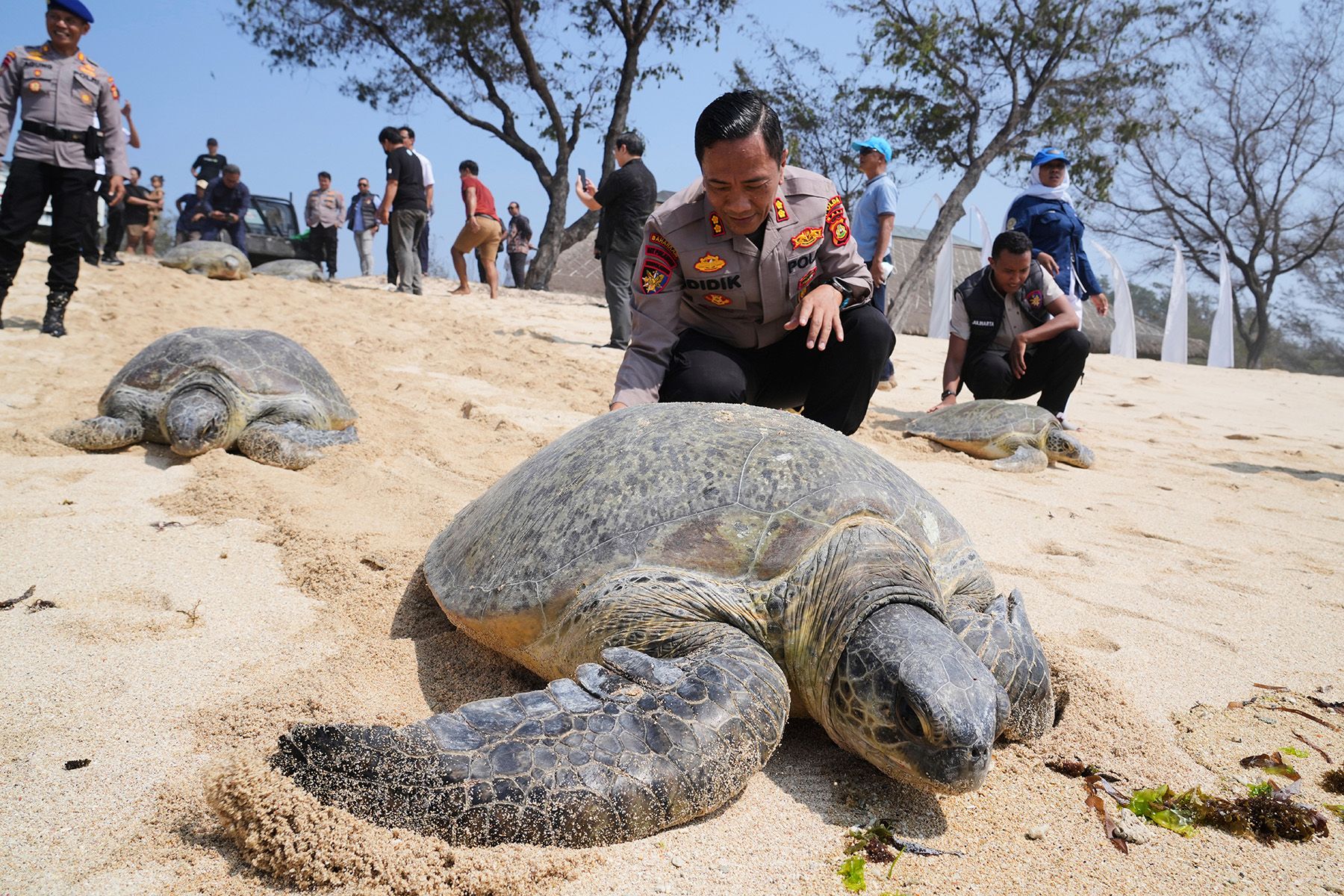 Фото: Firdia Lisnawati, AP/TASS