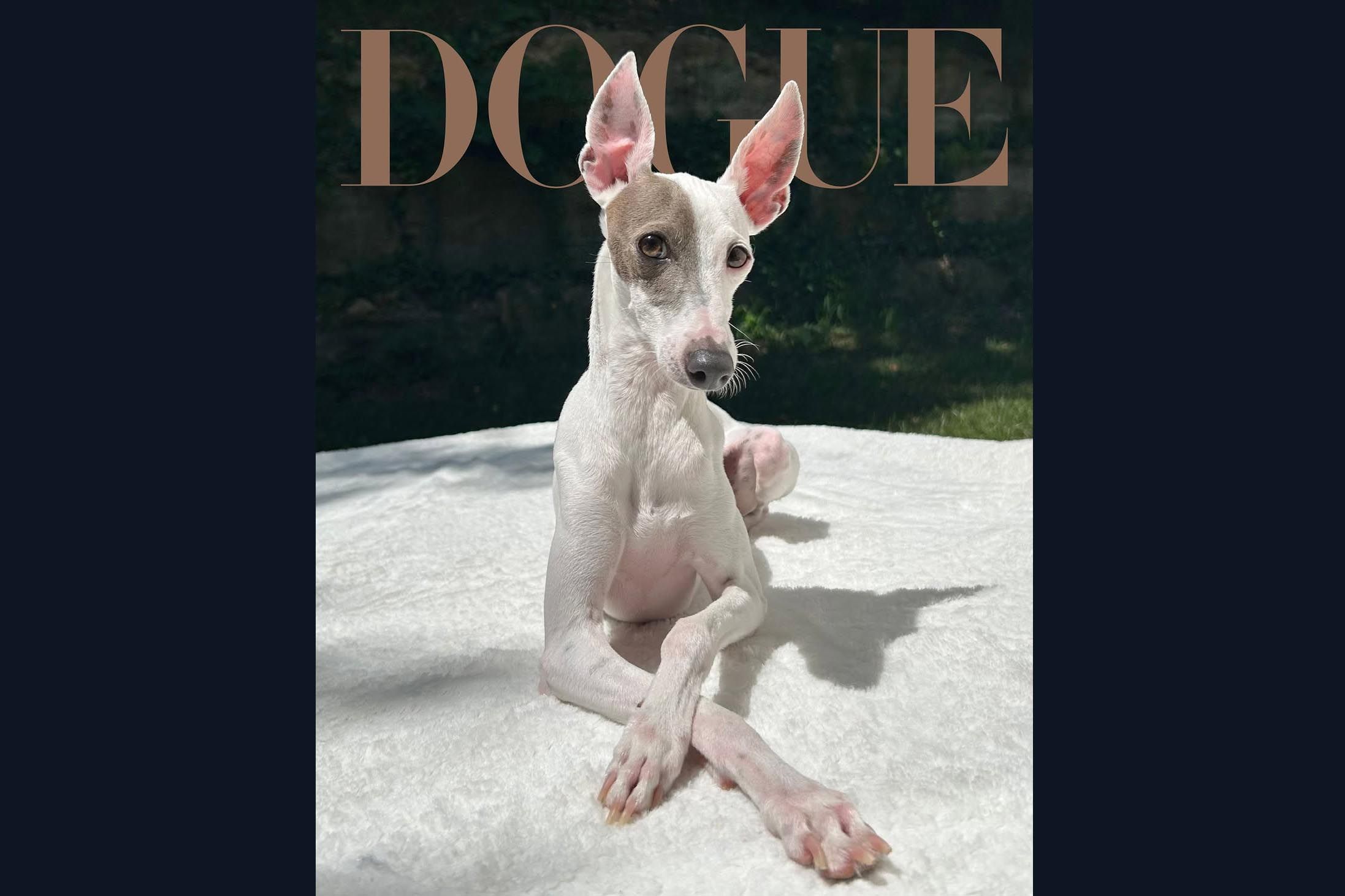 Фото: voguemagazine, Instagram