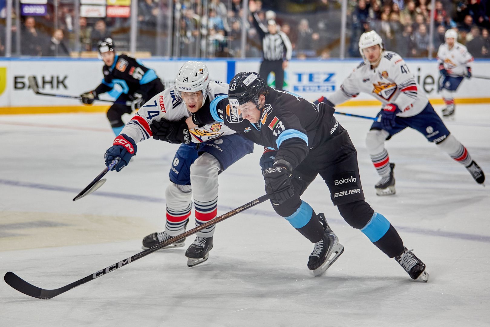 Матч Динамо - Металлург