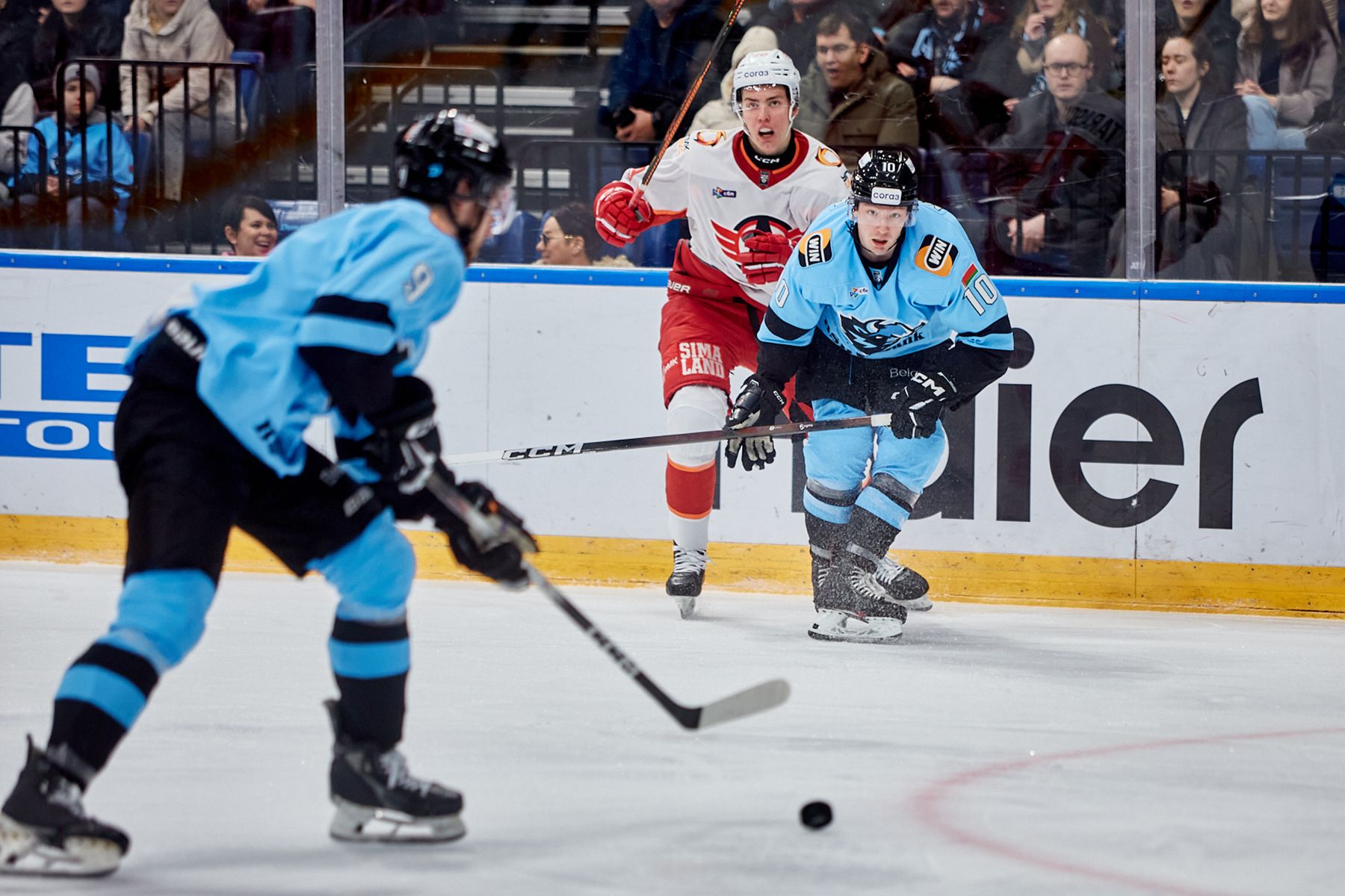 © Святослав Зоркий, Times.by