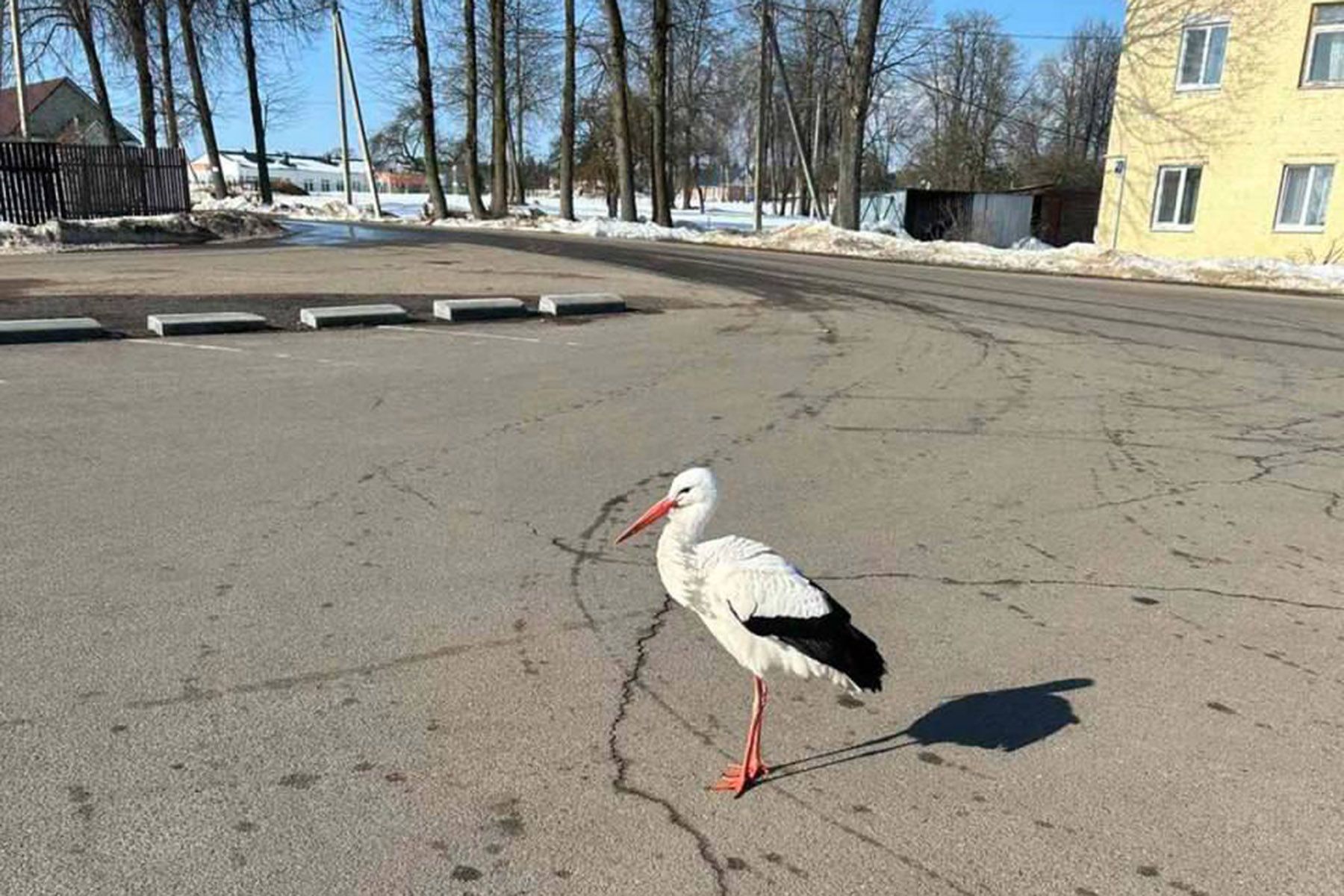 © «Метеовайб», Telegram