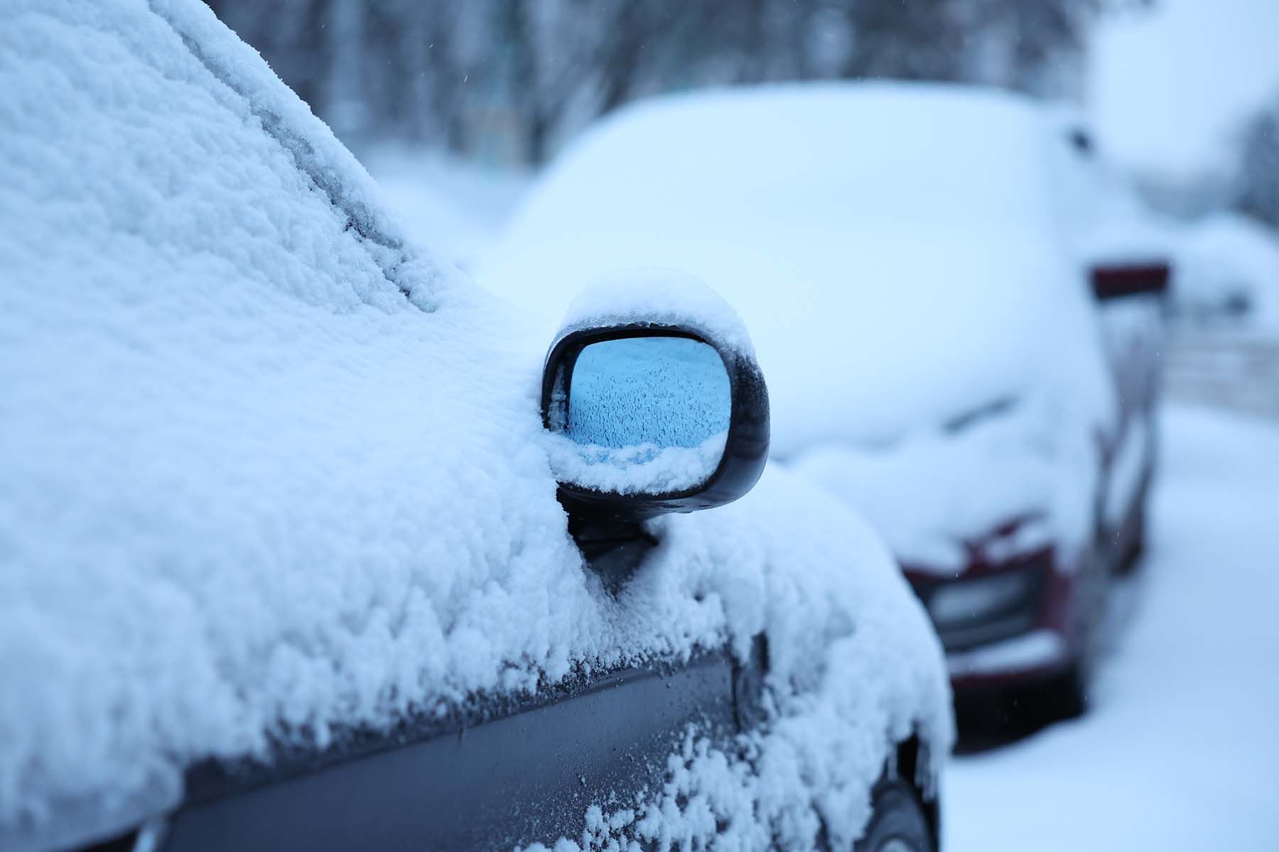 © Павел Орловский, Times.by