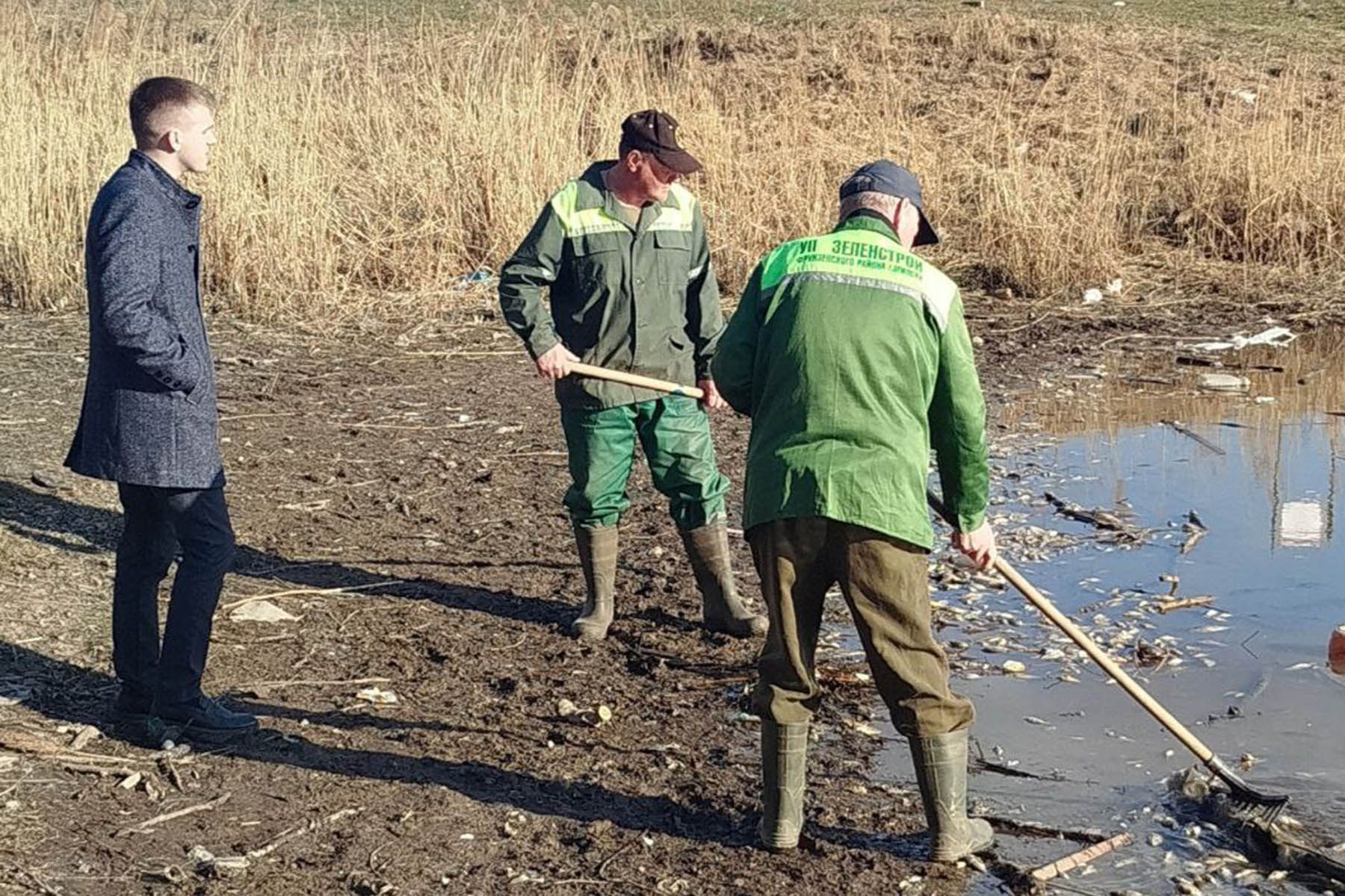 © Минский городской комитет природных ресурсов и охраны окружающей среды