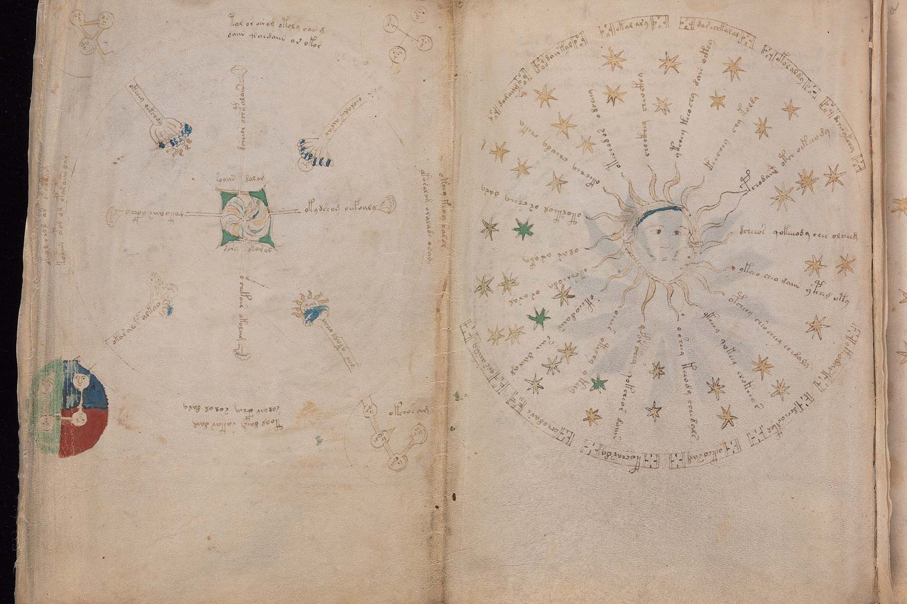 Страница из рукописи Войнича. Фото: Yale University Library
