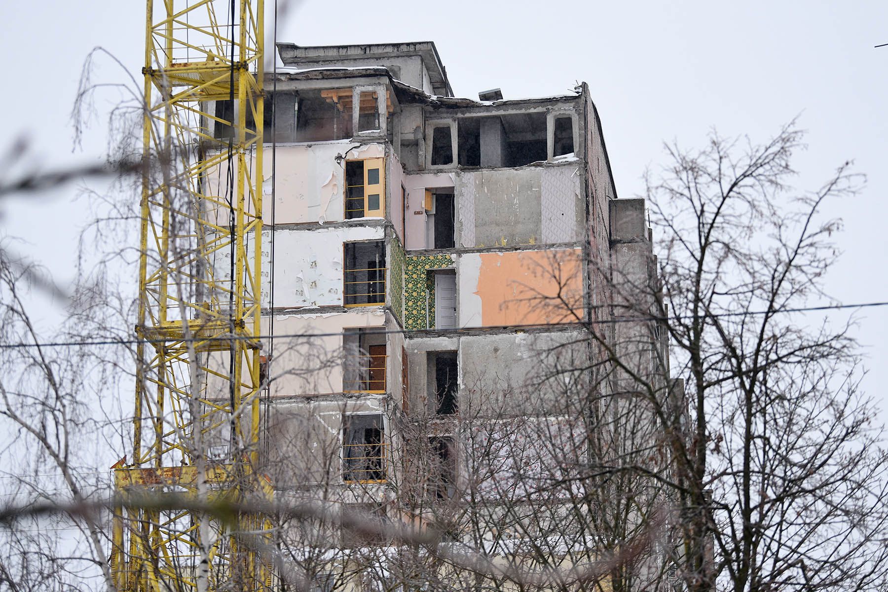 © Мария Амелина, Times.by