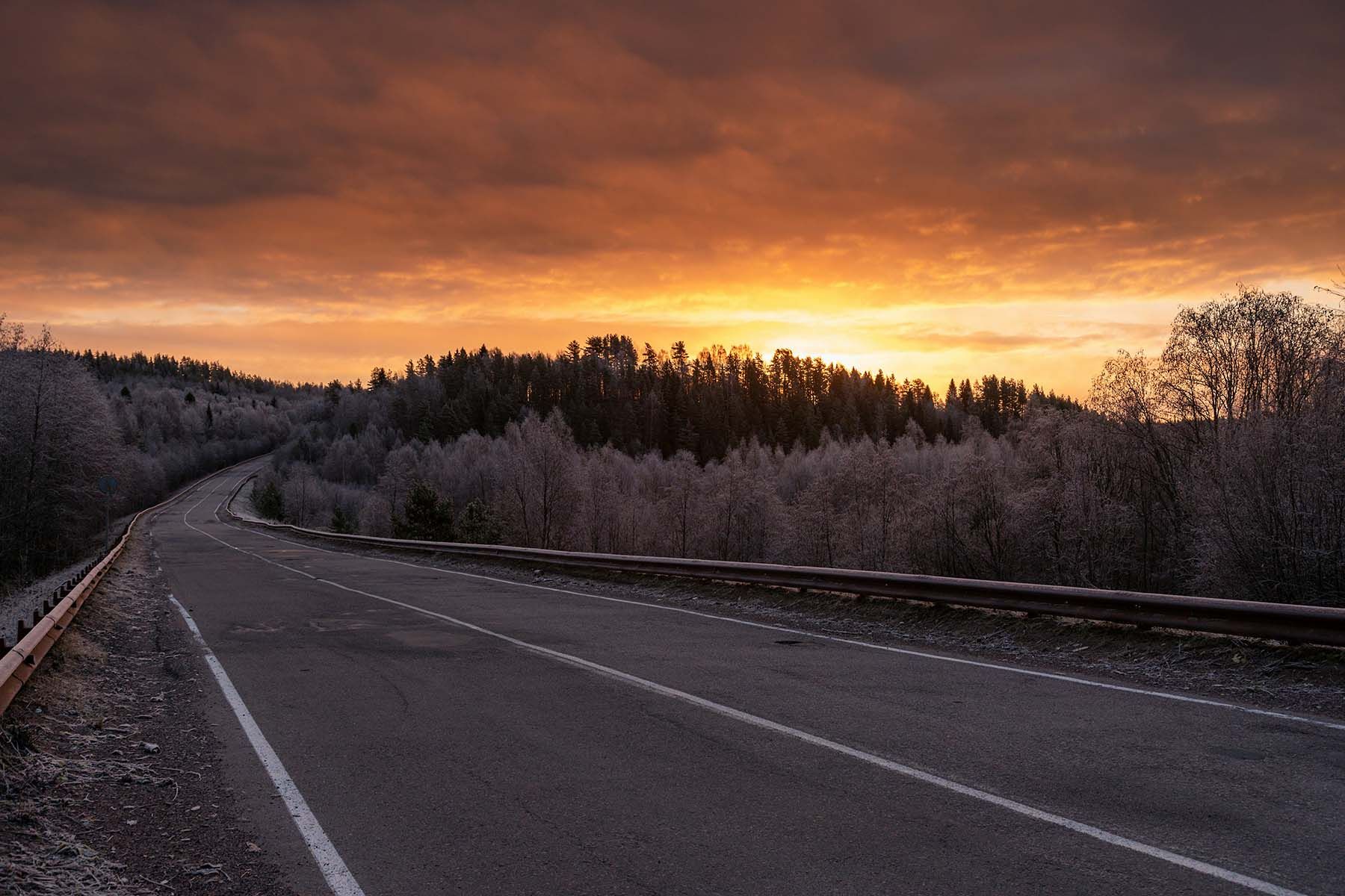 Фото: Master Unknown, Unsplash.com
