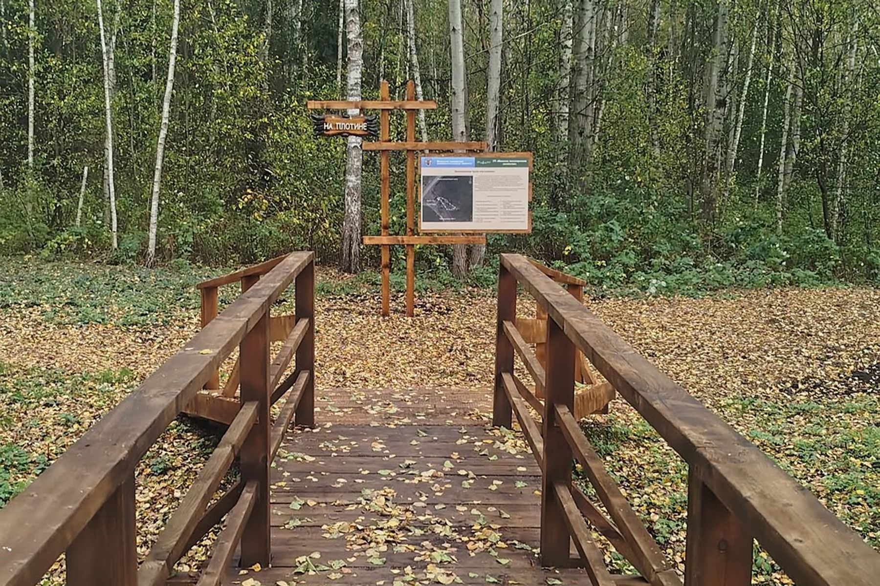Экотропа «На плотине» на водохранилище Дрозды в Минске. Фото: minskpriroda, instagram.com