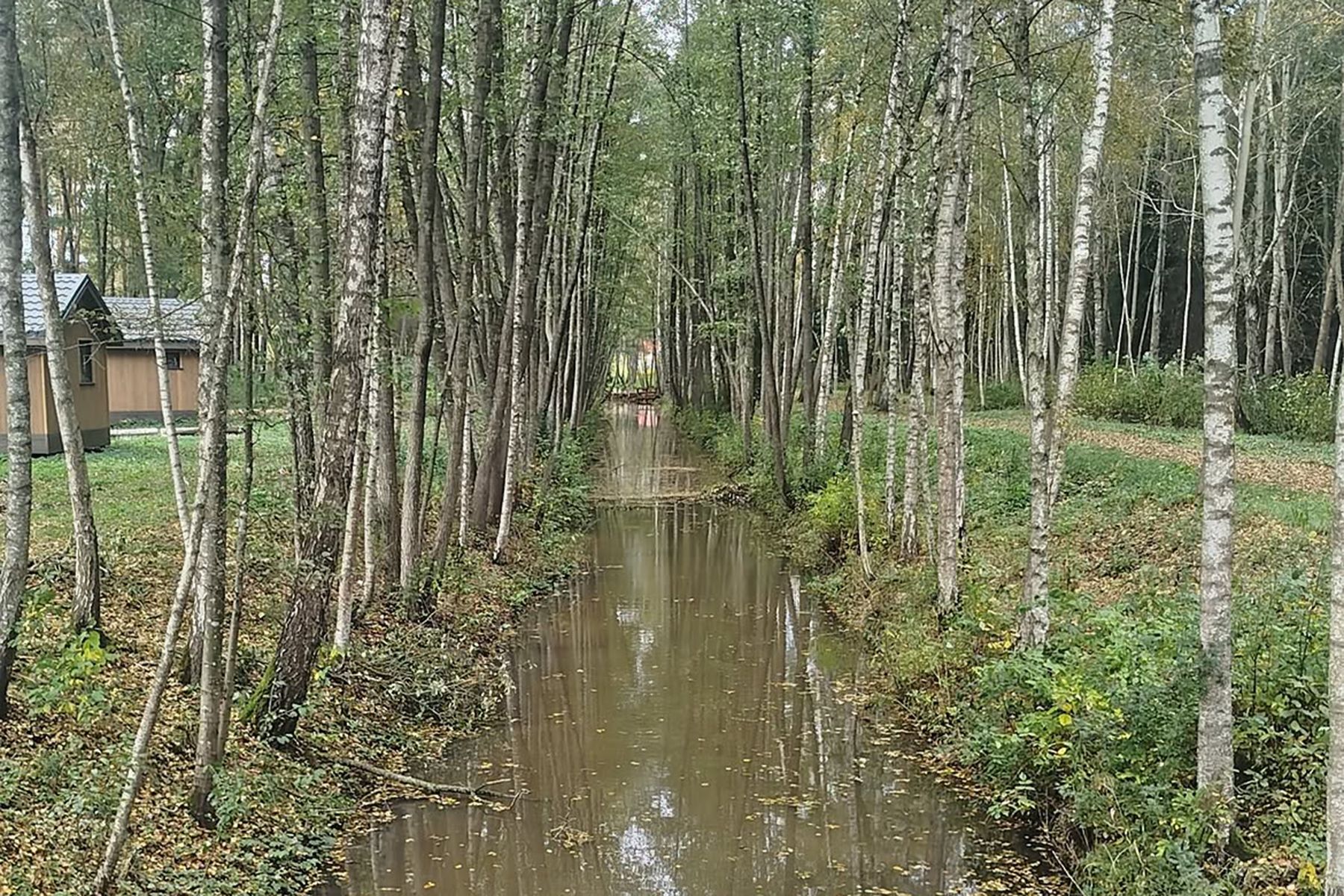 Экотропа «На плотине» на водохранилище Дрозды в Минске. Фото: minskpriroda, instagram.com