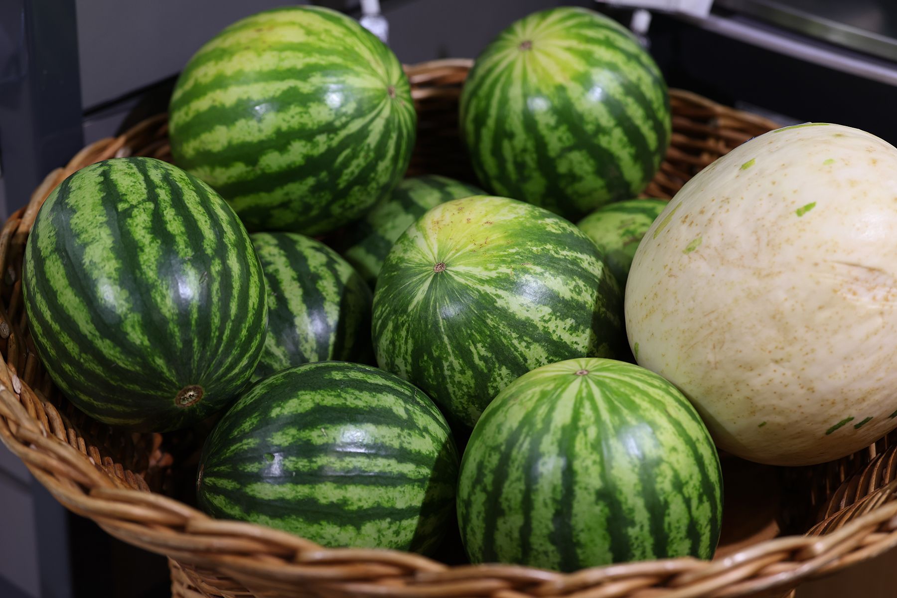 мини-арбузы и дыни
