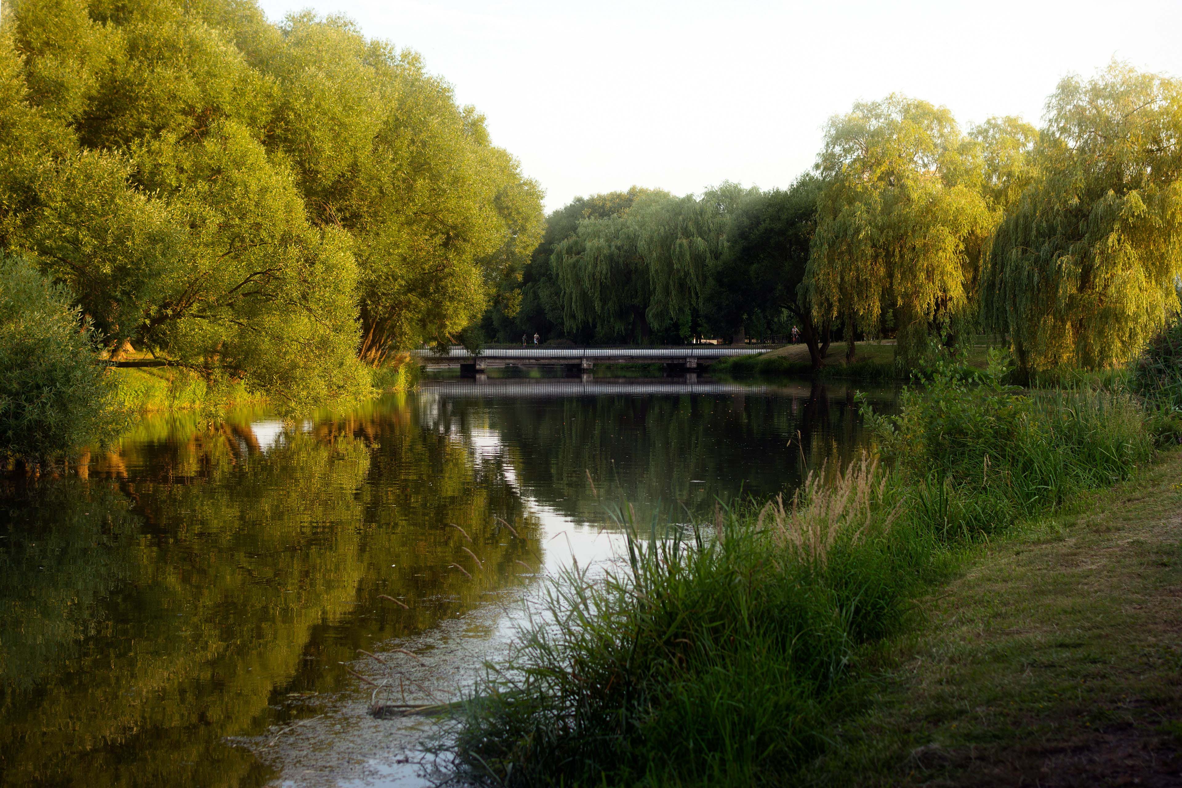 Городской парк