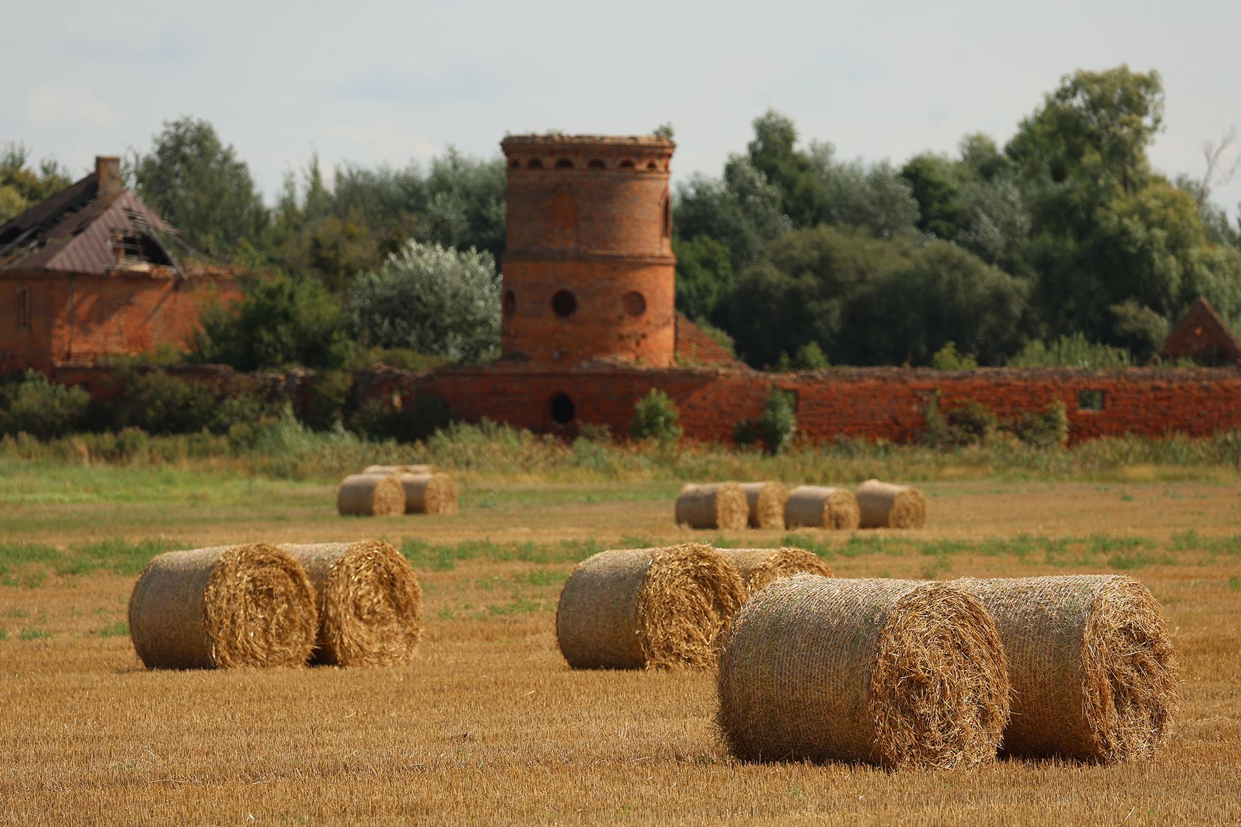 Фольварок «Мурованка Хрептовичей» в Щорсах. Фото: Times.by