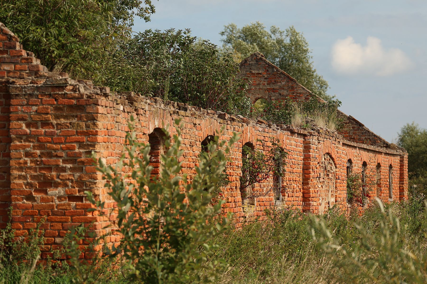 Фольварок «Мурованка Хрептовичей» в Щорсах. Фото: Times.by