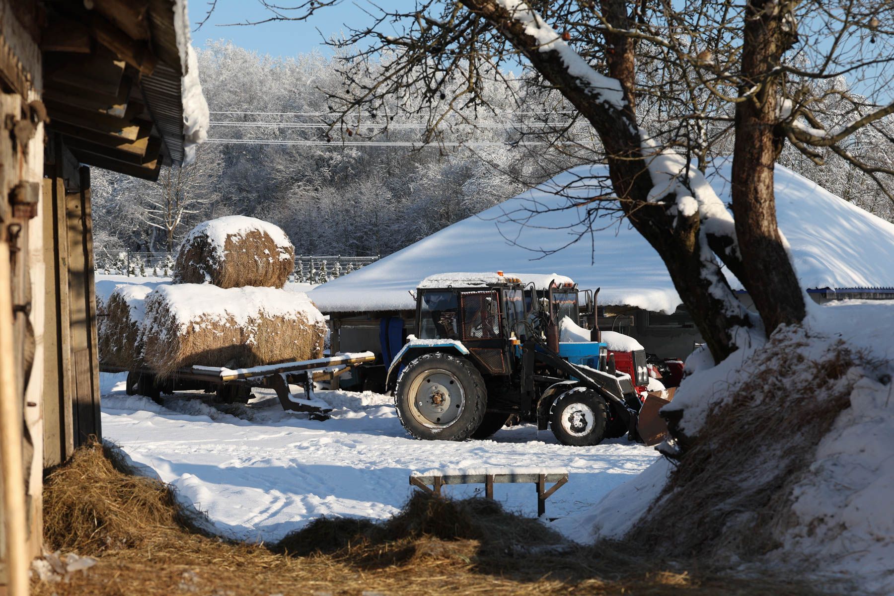 © Павел Орловский, Times.by
