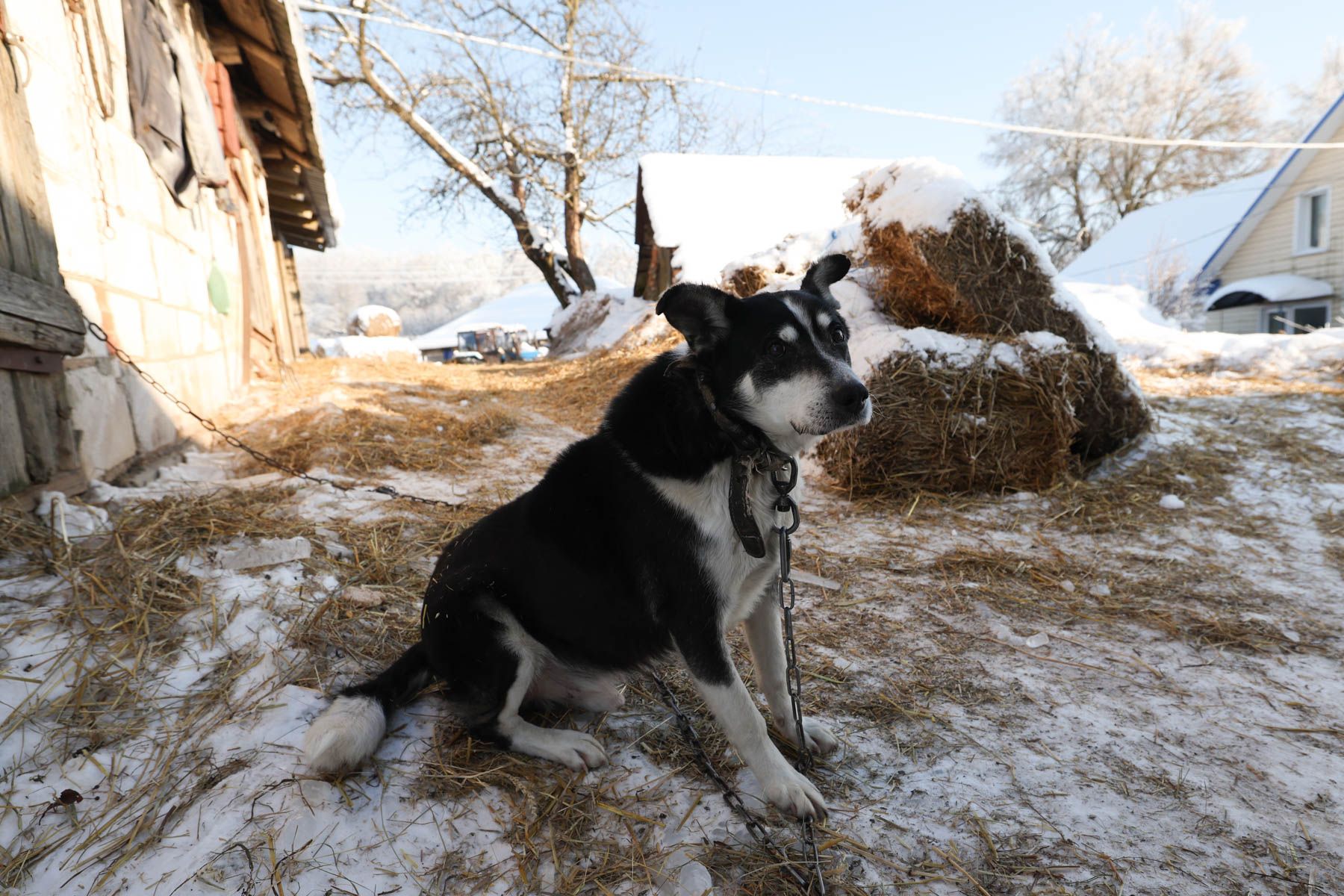 © Павел Орловский, Times.by