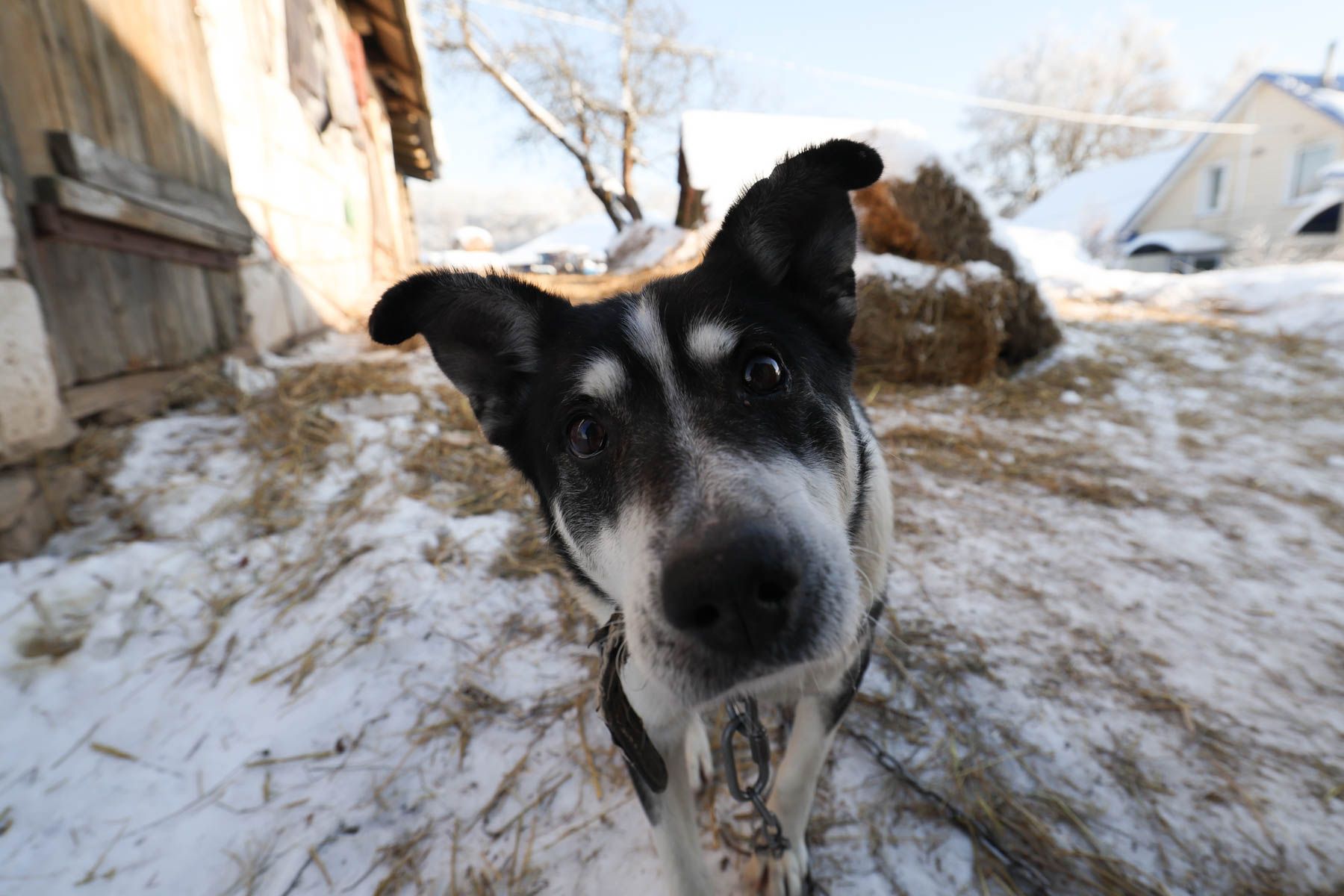 © Павел Орловский, Times.by