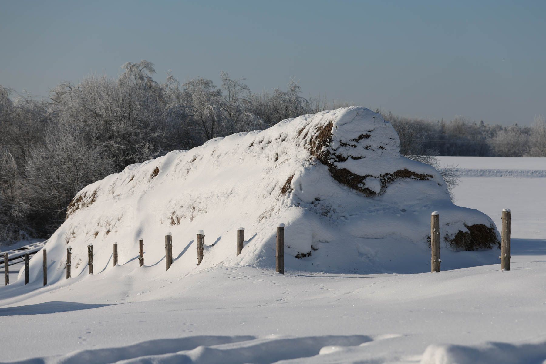 © Павел Орловский, Times.by