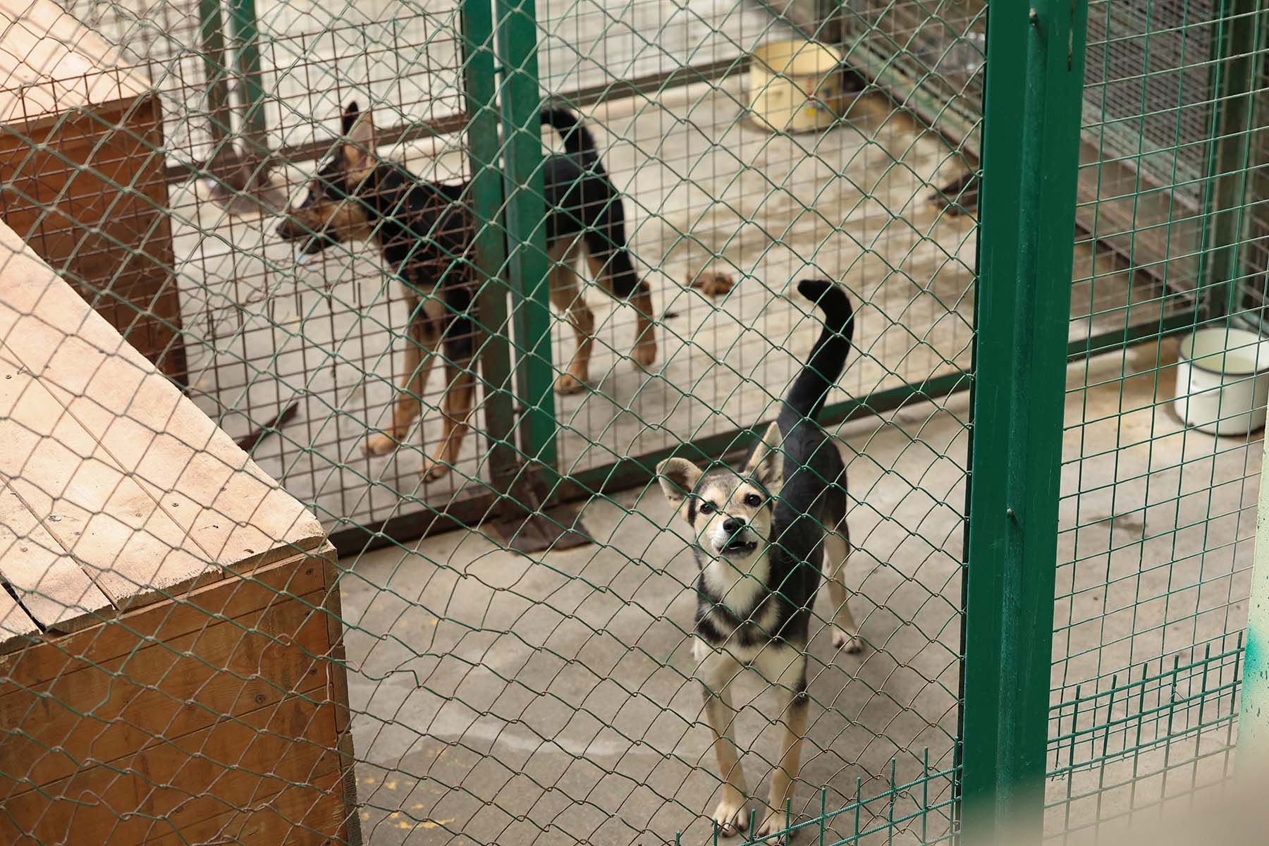 Фото: Павел Орловский, Times.by