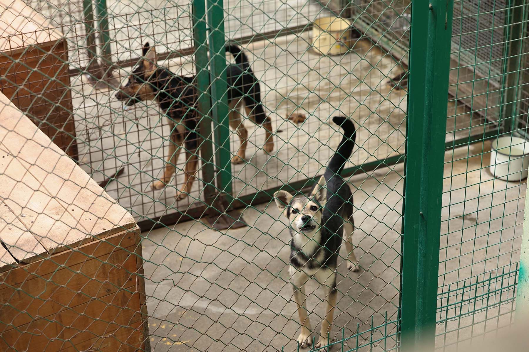 Фото: Павел Орловский, Times.by